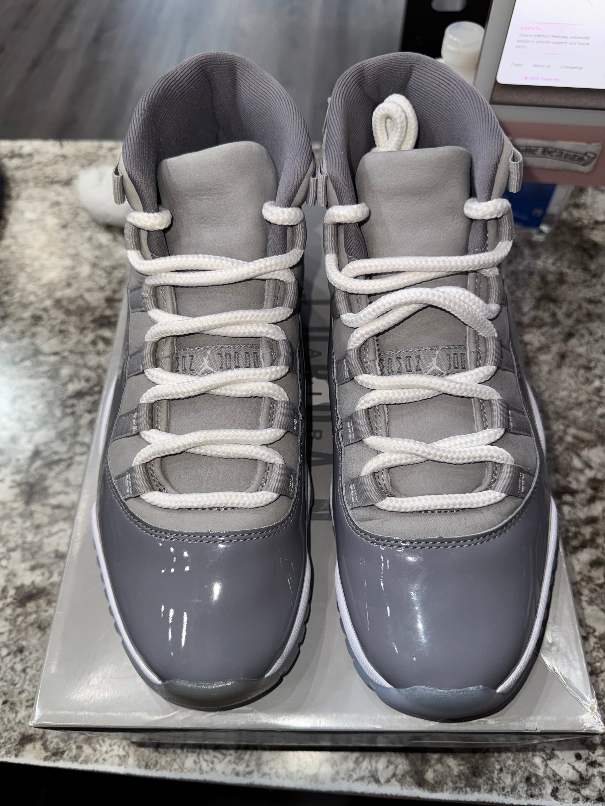 Jordan 11 Retro Cool Grey (2021)