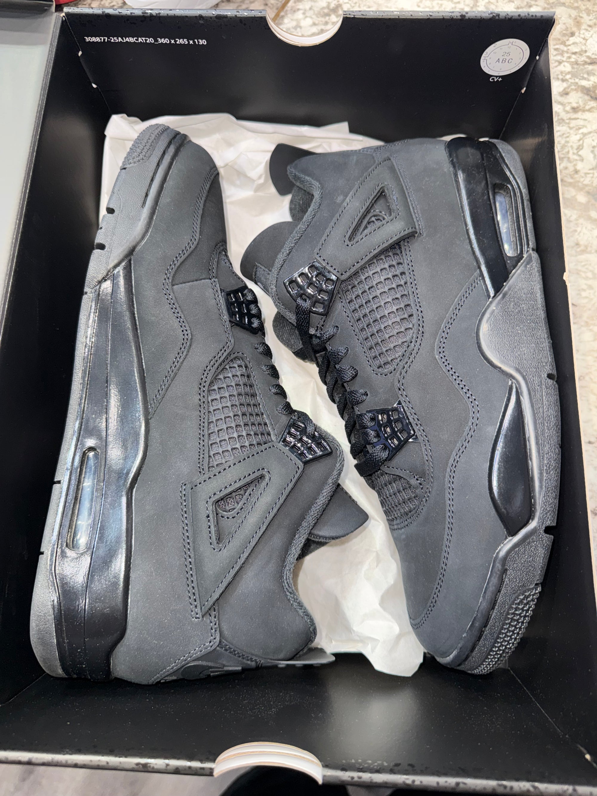Jordan 4 Retro Black Cat (2025)