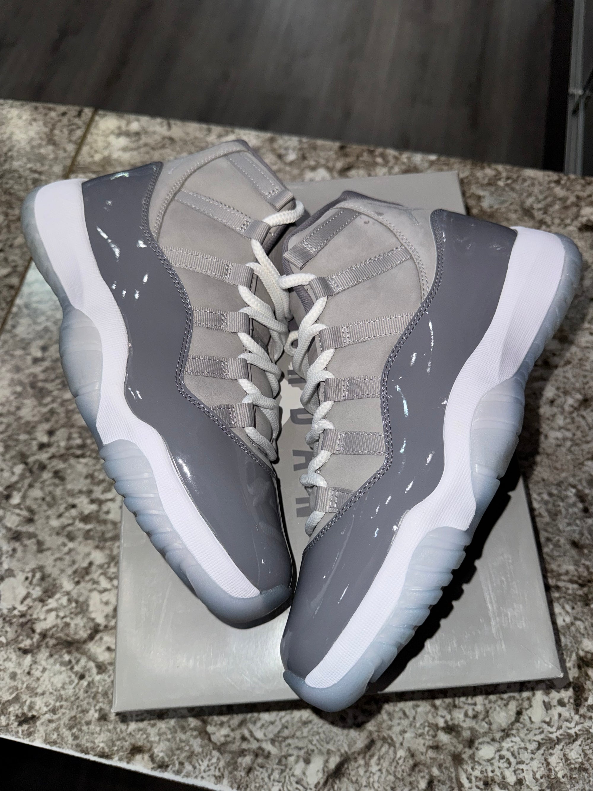 Jordan 11 Retro Cool Grey (2021)