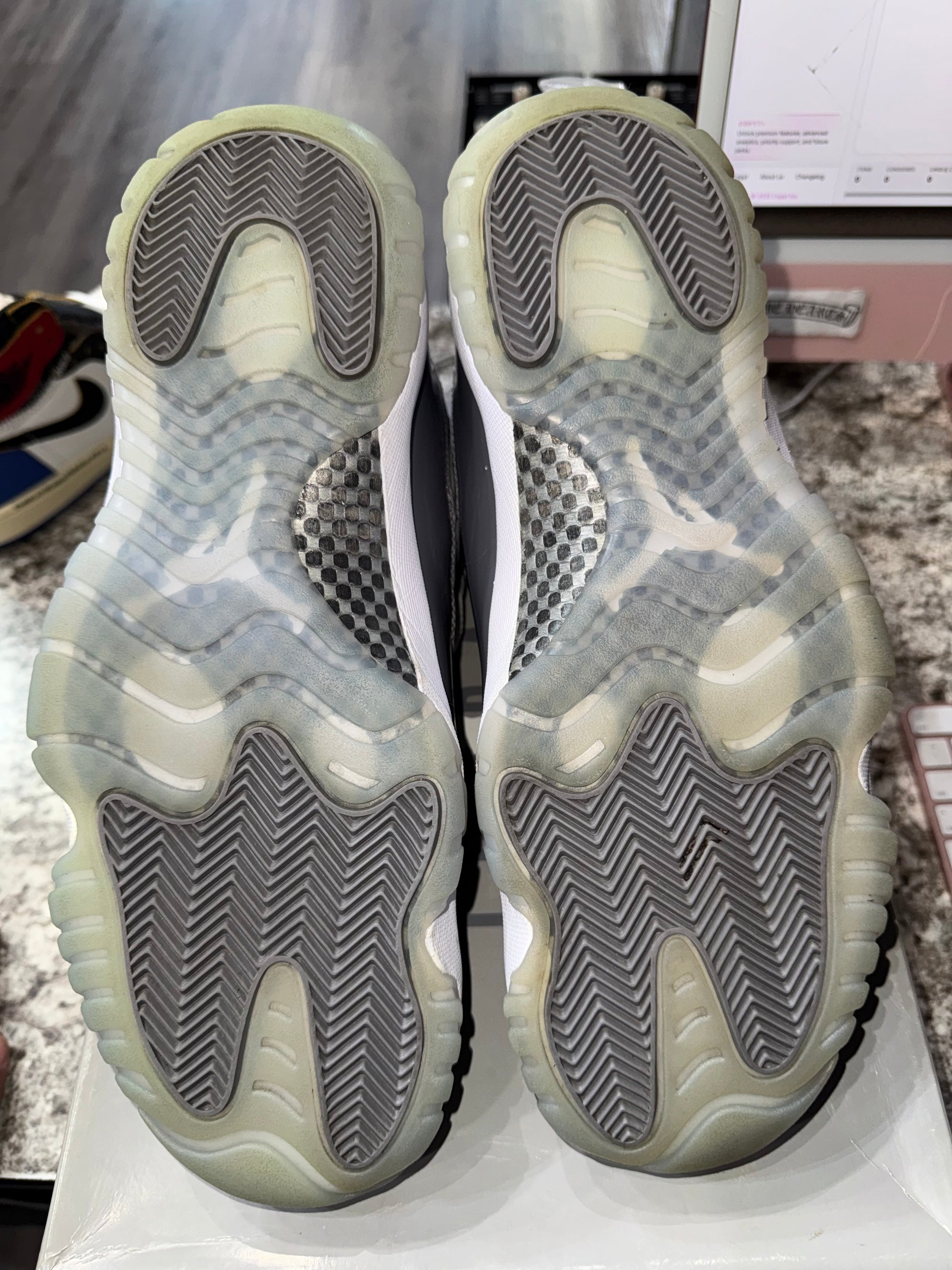 Jordan 11 Retro Cool Grey (2021)