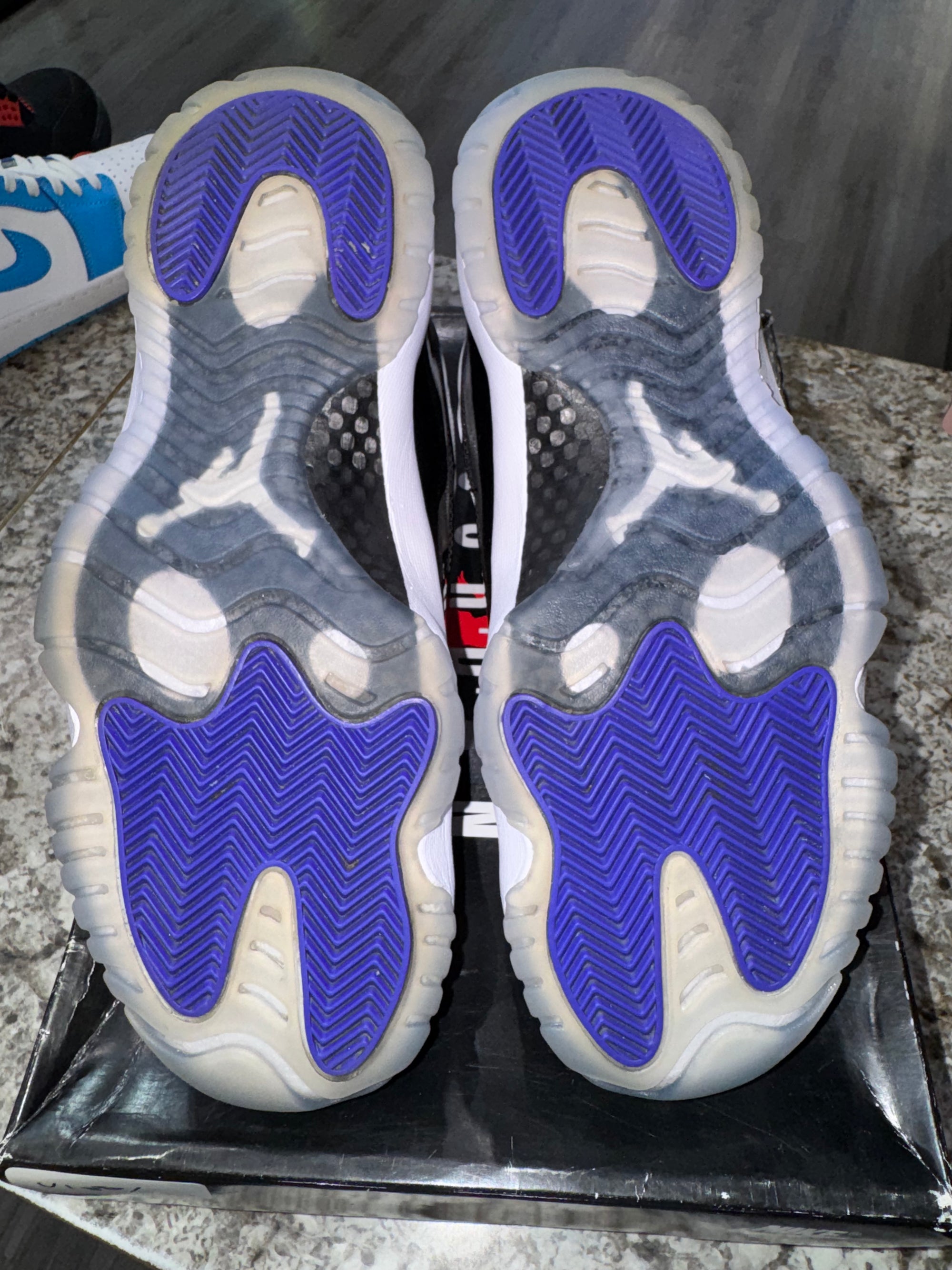 Jordan 11 Retro Concord (2018)