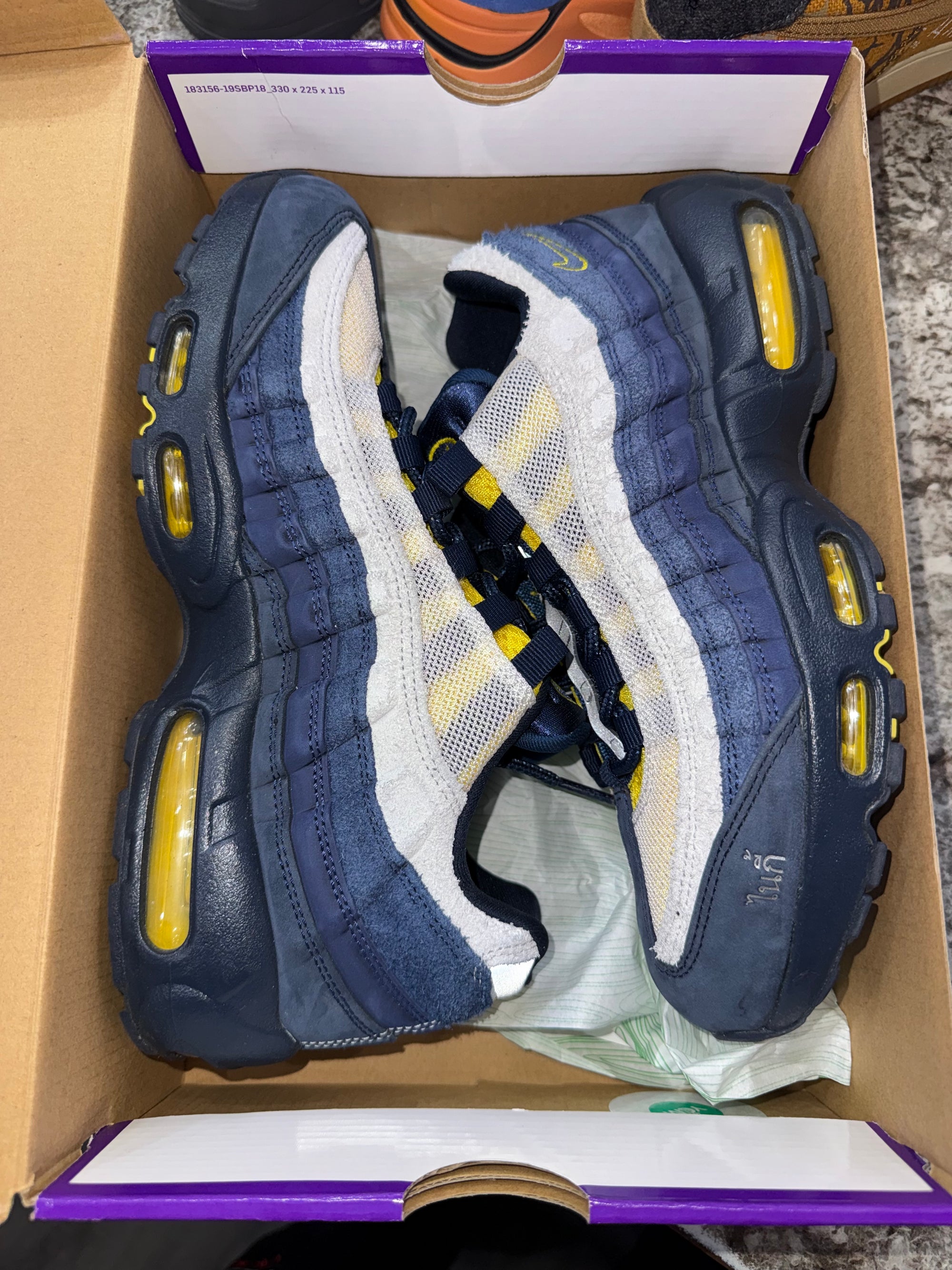 Nike Air Max 95 SB Eric Koston Obsidian Speed Yellow
