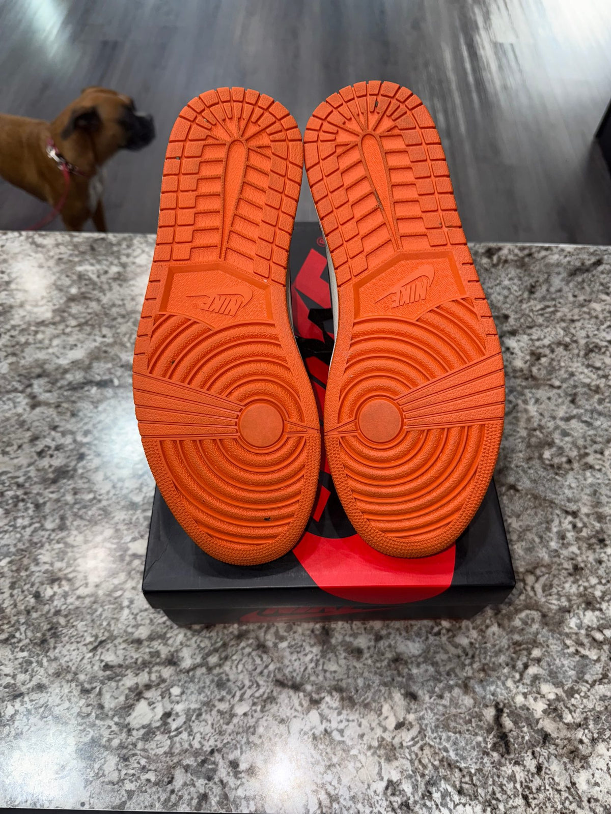 Jordan 1 Retro Reverse Shattered Backboard