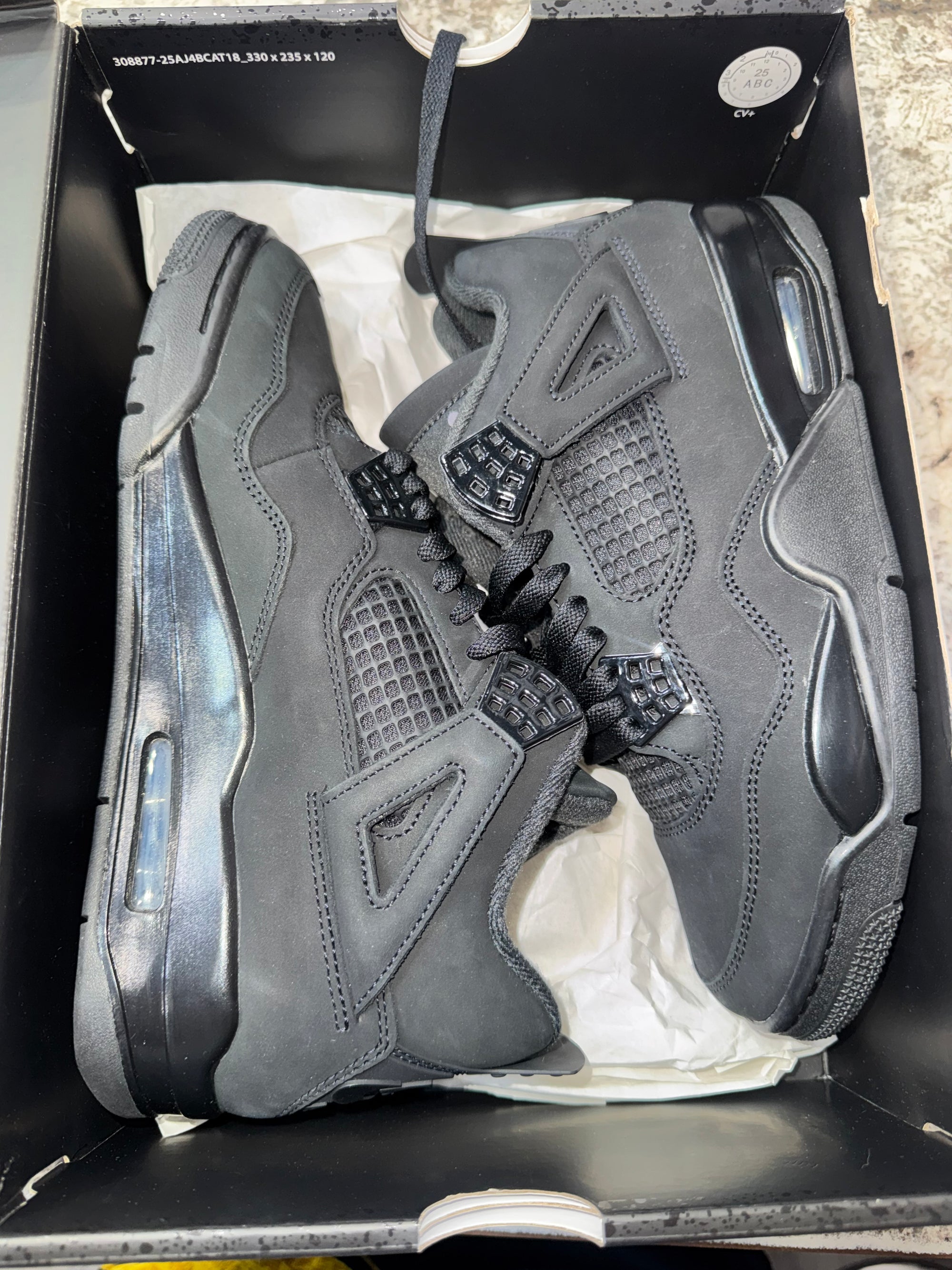 Jordan 4 Retro Black Cat (2025)