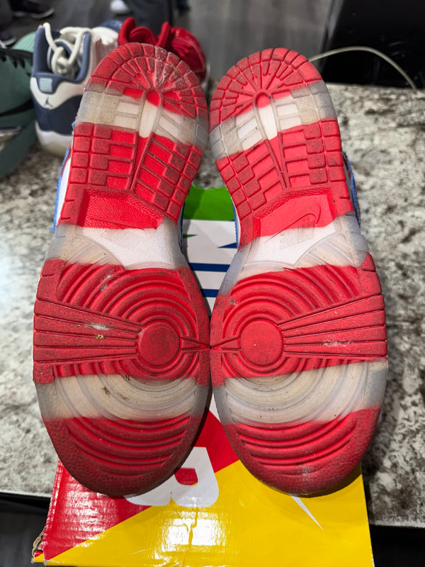 Nike SB Dunk Low Sandy Bodecker