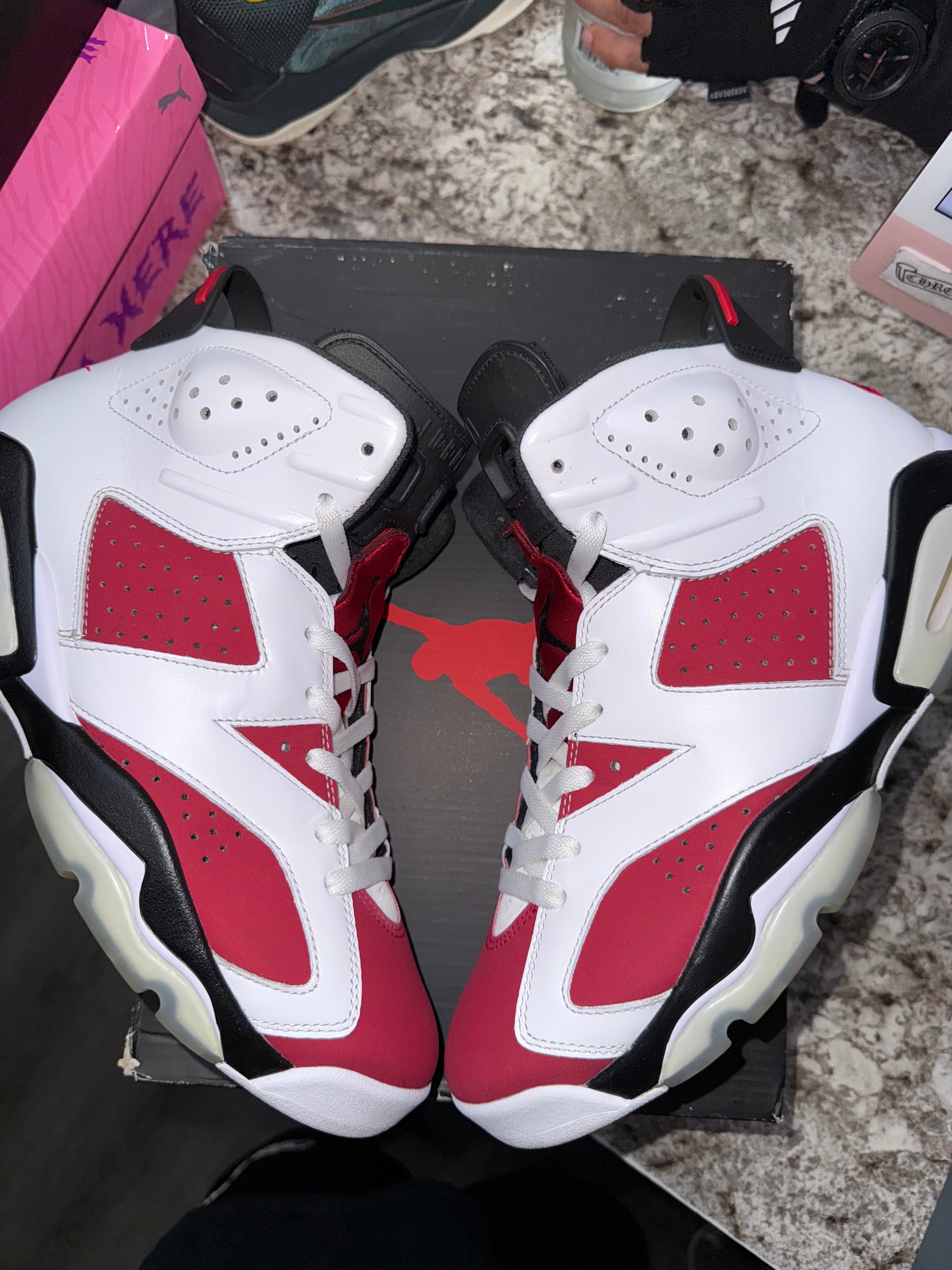 Jordan 6 Retro Carmine (2021)