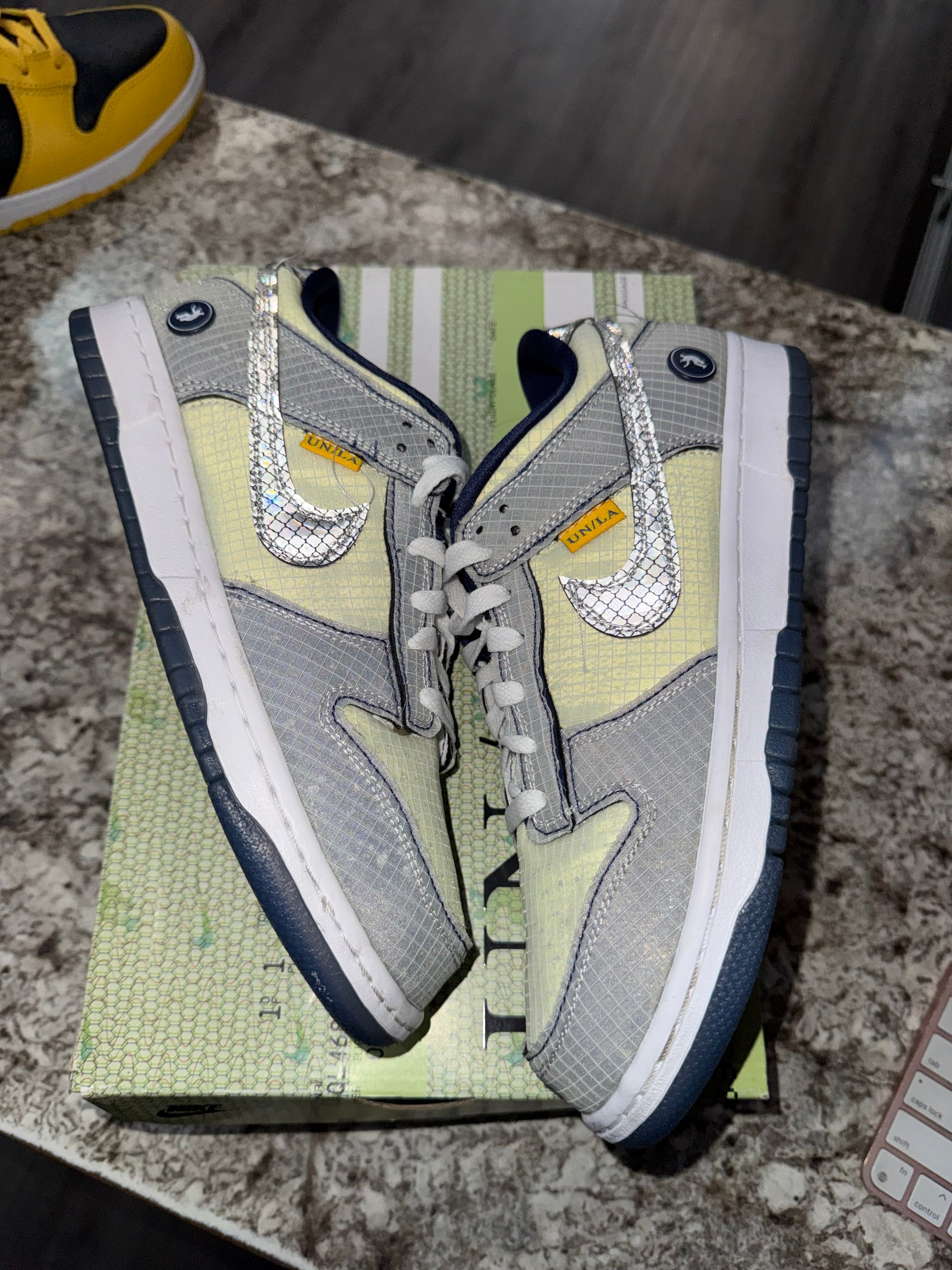 Nike Dunk Low Union Passport Pack Argon