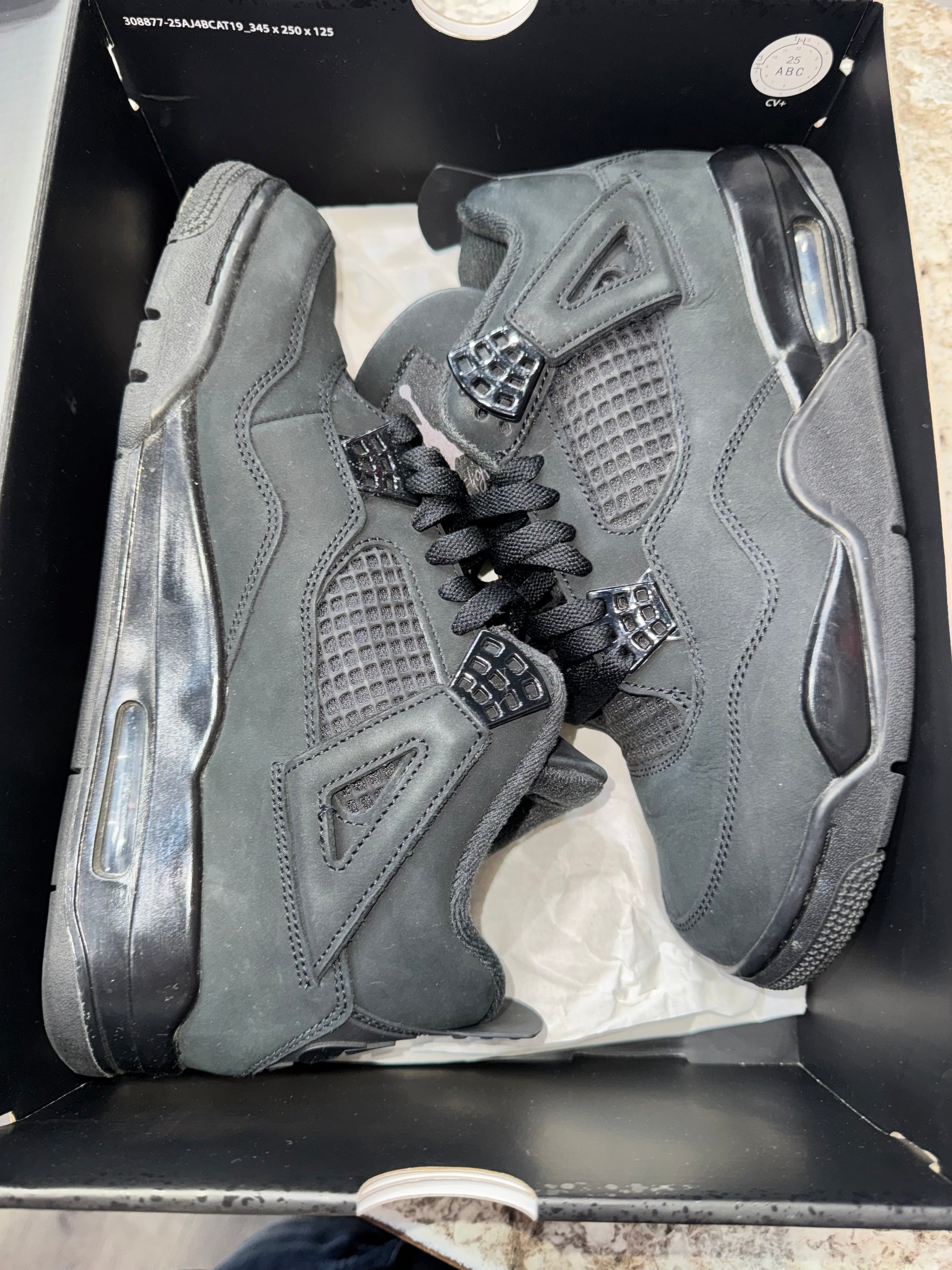 Jordan 4 Retro Black Cat (2025)