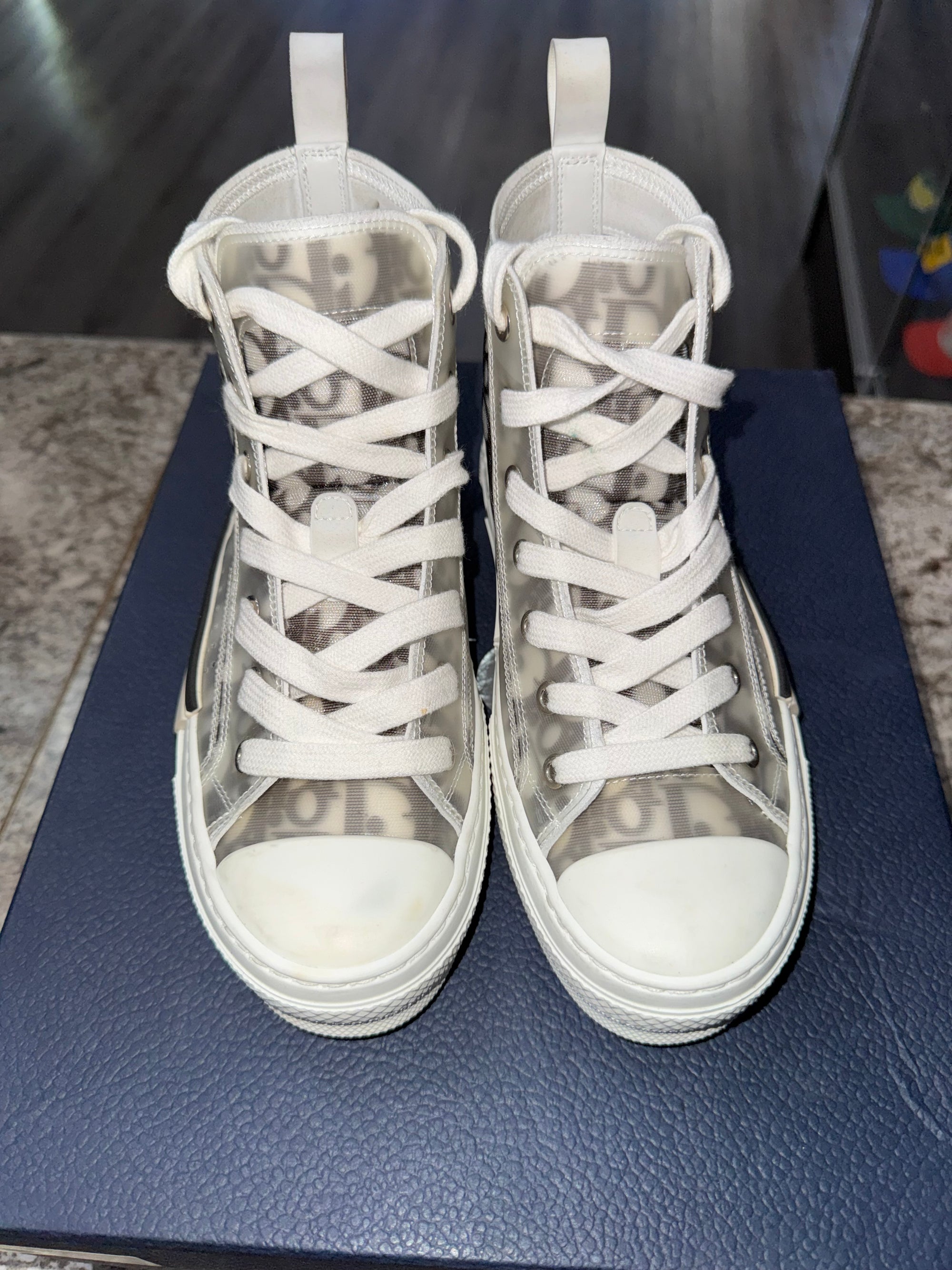 Dior B23 High Top Logo Oblique