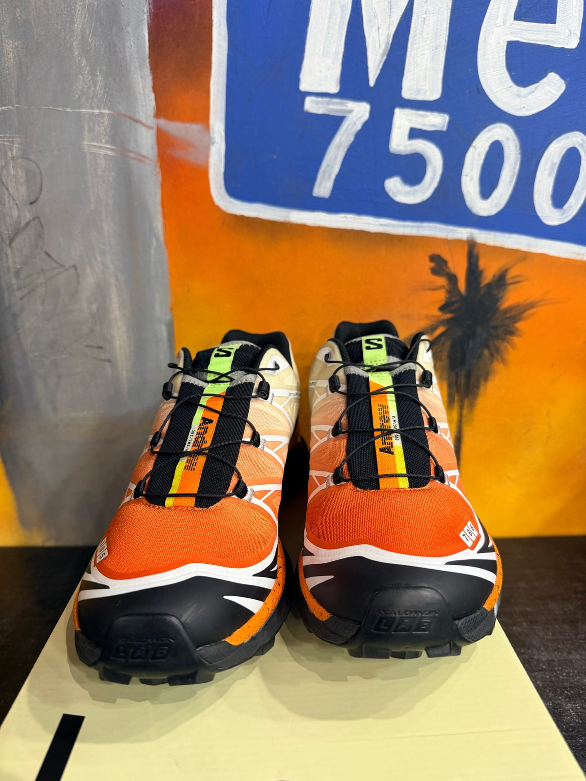 Salomon XT-6 Andrew Miami Florida Snow Crab