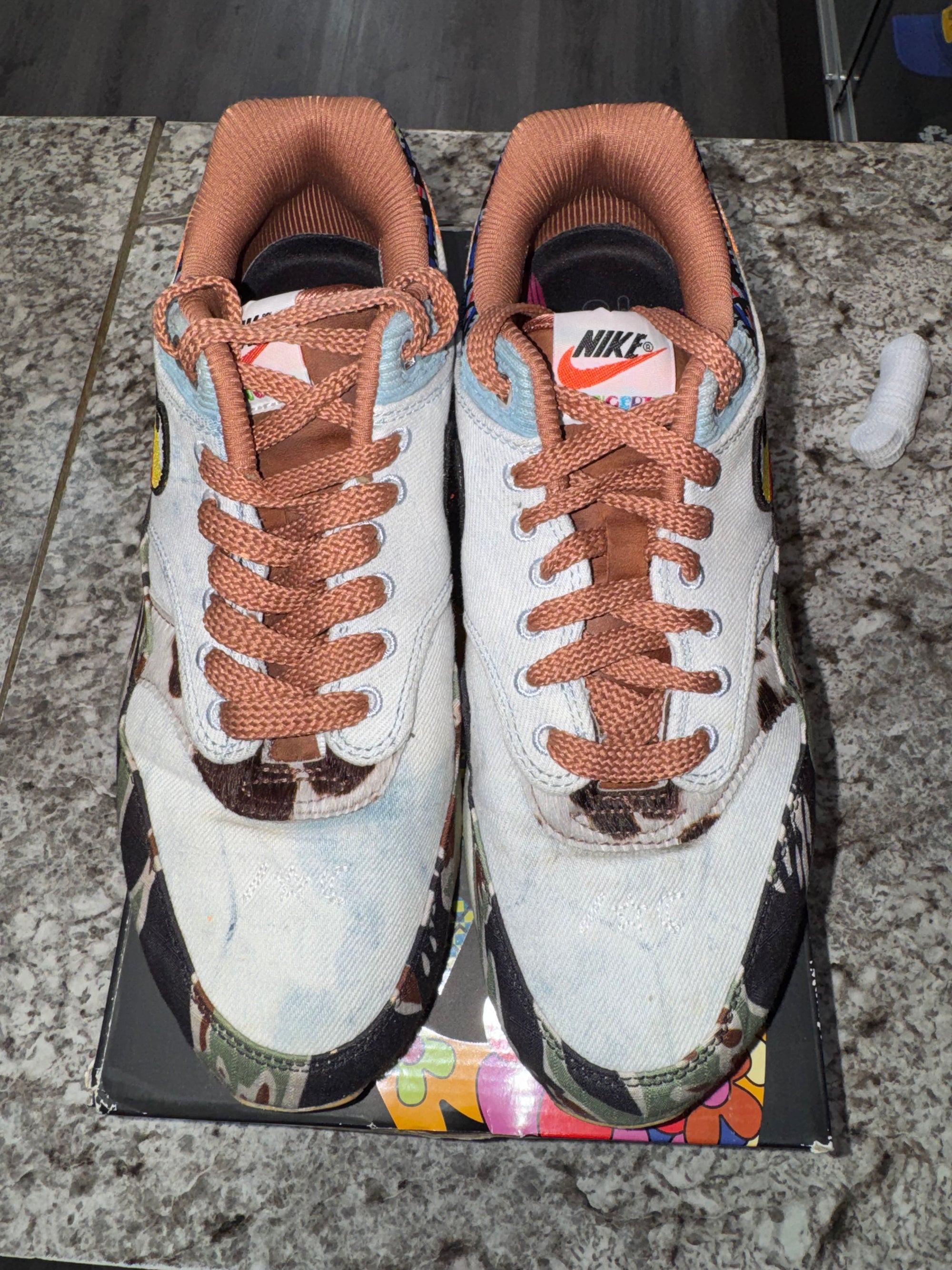 Nike Air Max 1 SP Concepts Heavy