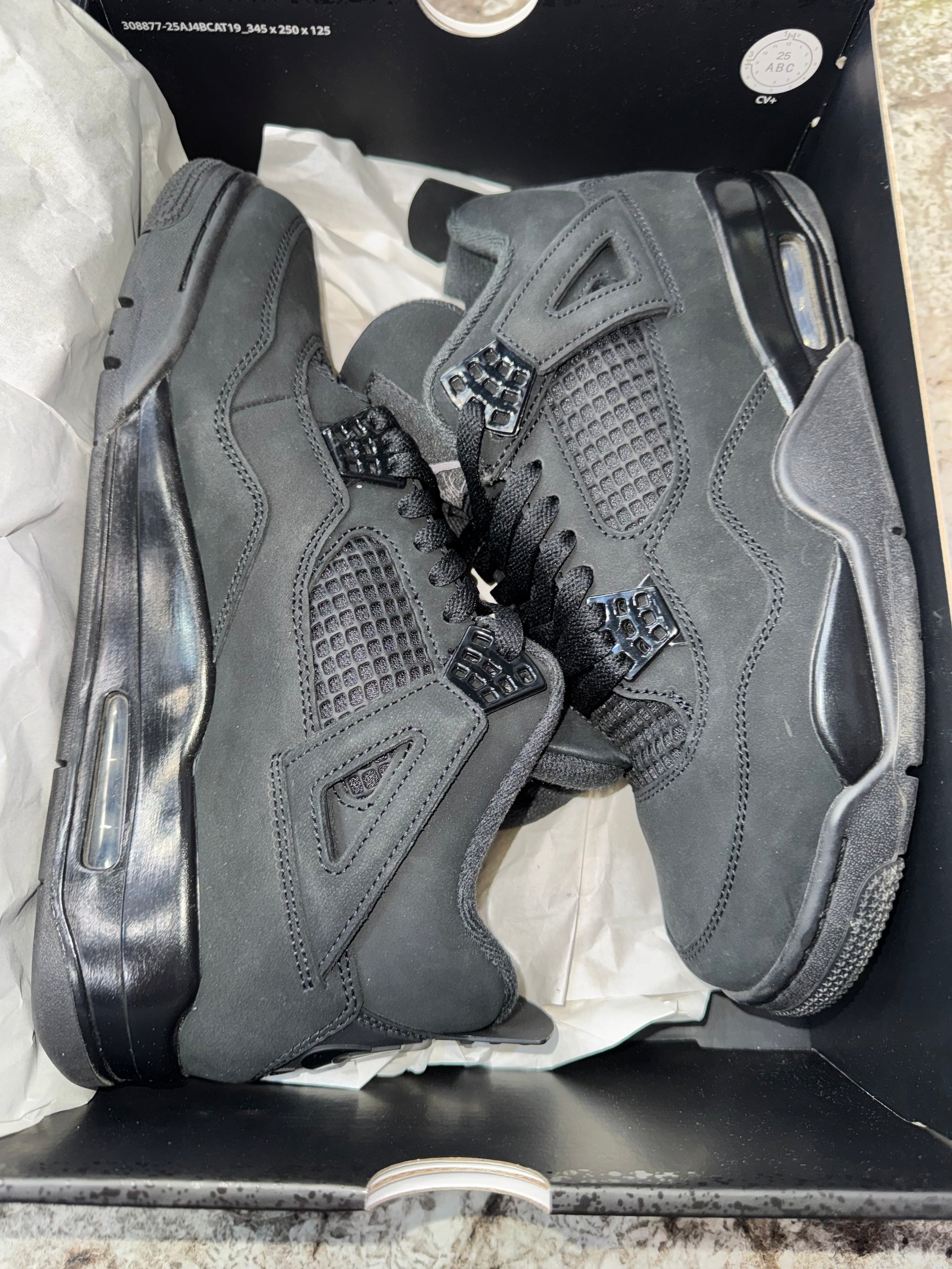 Jordan 4 Retro Black Cat (2025)