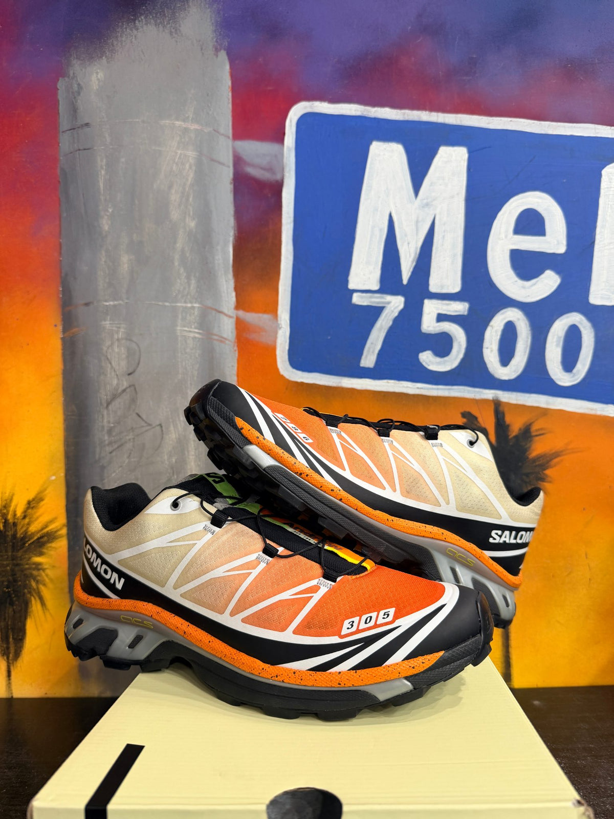Salomon XT-6 Andrew Miami Florida Snow Crab