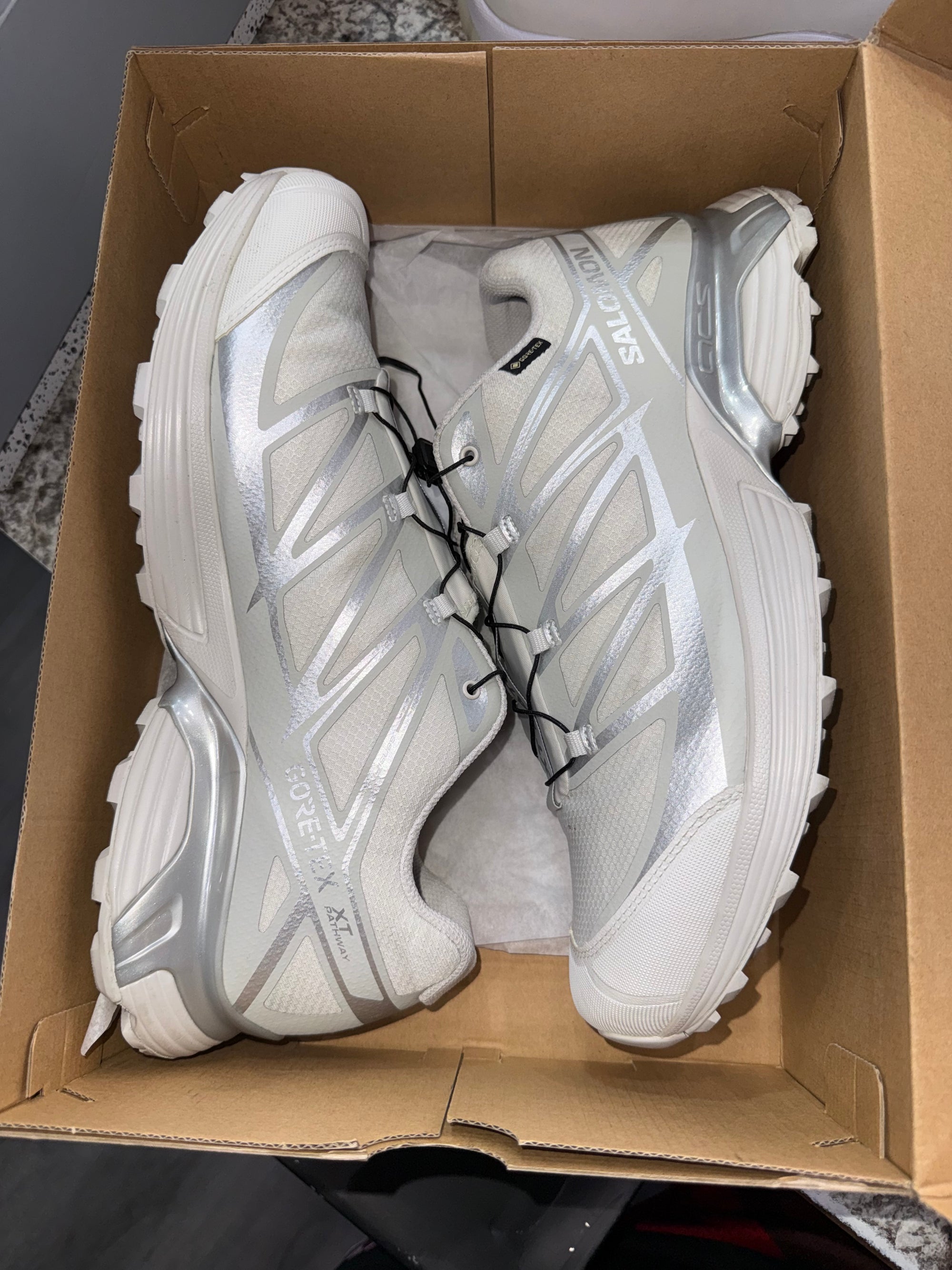 Salomon XT-Pathway GTX Lunar Rock Alloy