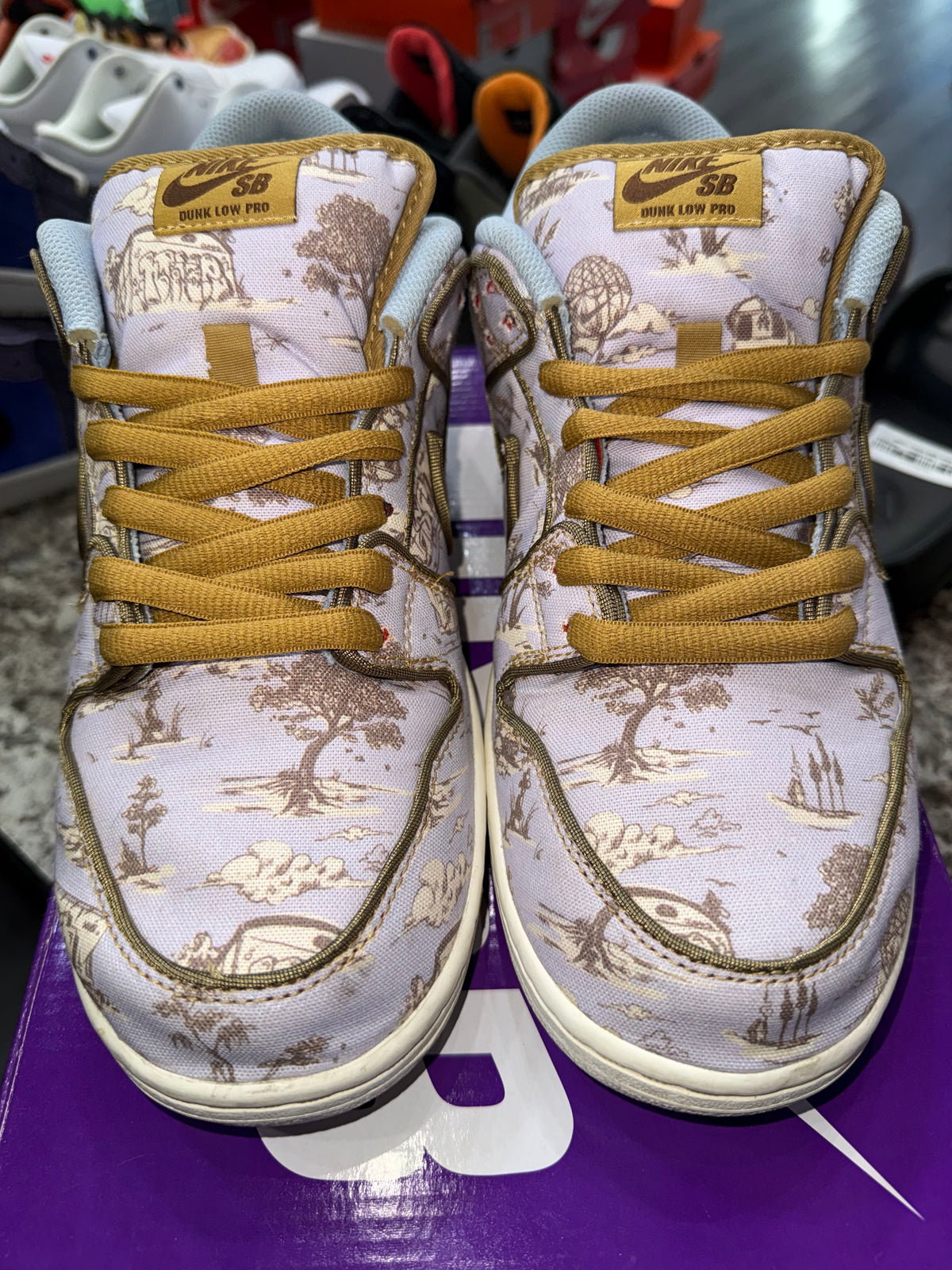 Nike SB Dunk Low Premium City of Style