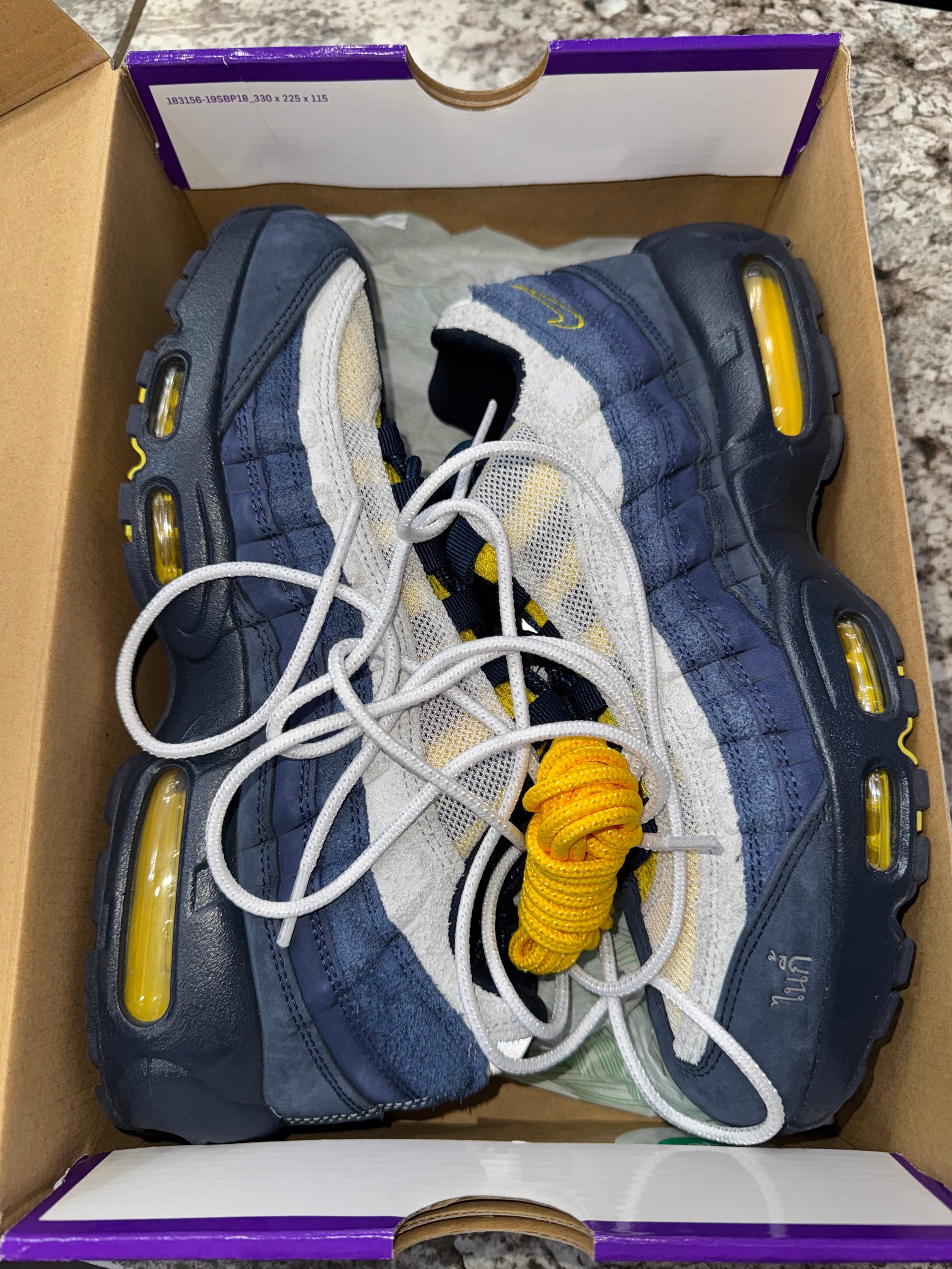 Nike Air Max 95 SB Eric Koston Obsidian Speed Yellow