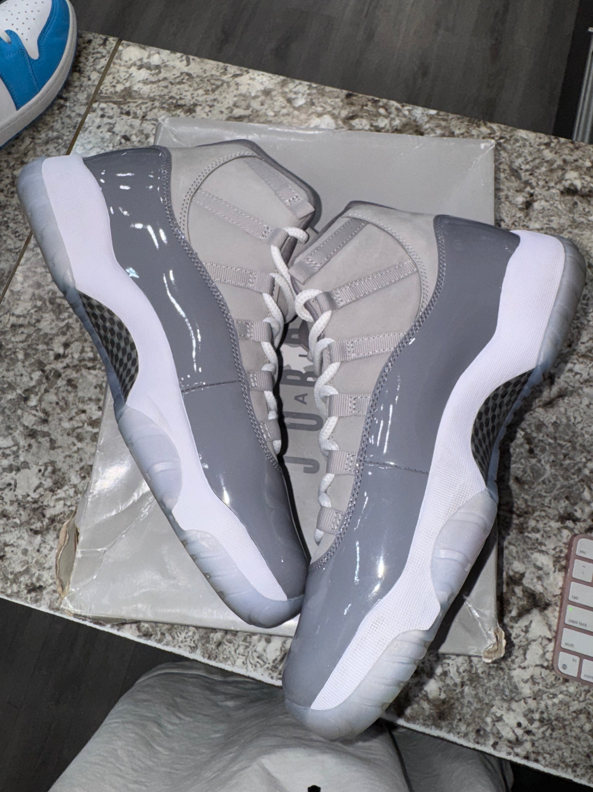 Jordan 11 Retro Cool Grey (2021)