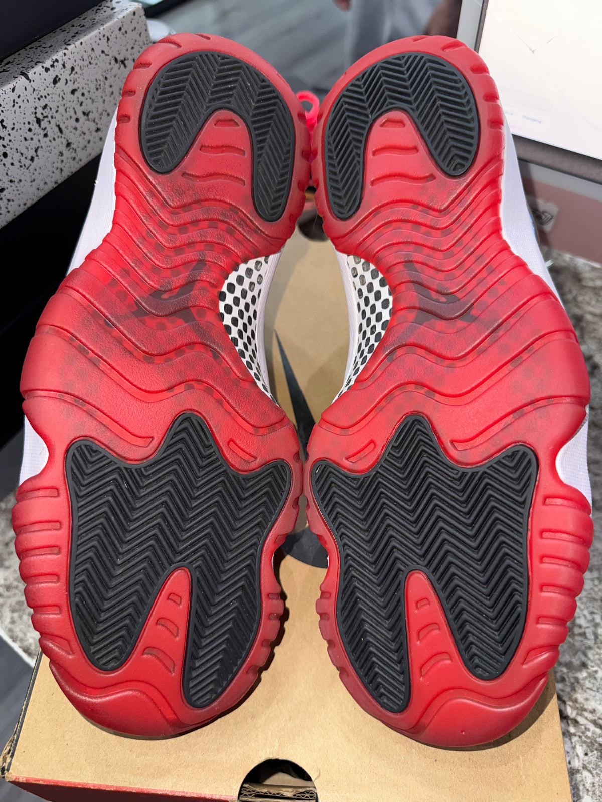Jordan 11 Retro Playoffs Bred (2019)
