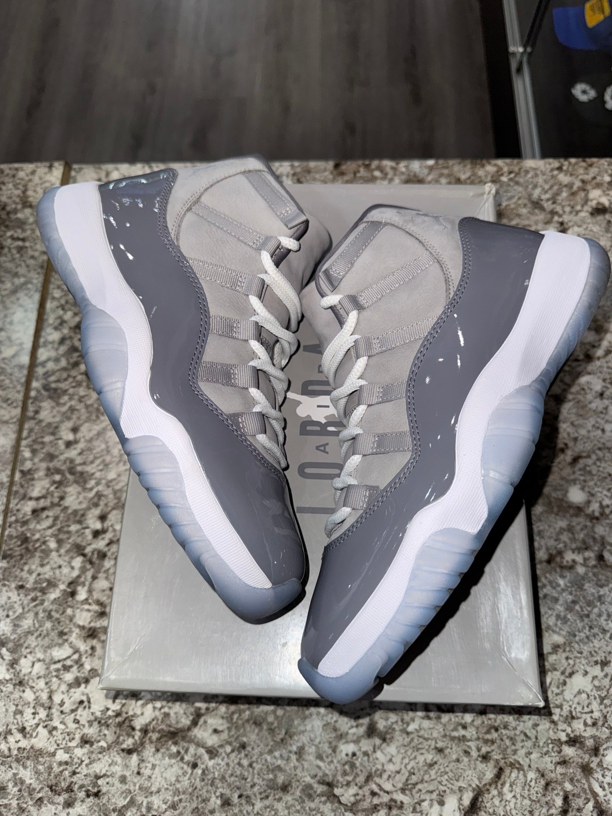 Jordan 11 Retro Cool Grey (2021)