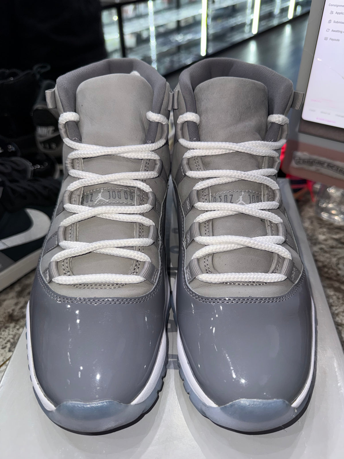 Jordan 11 Retro Cool Grey (2021)