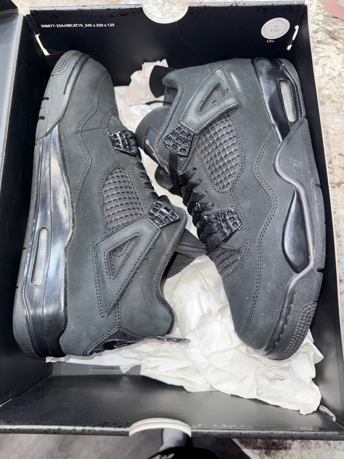 Jordan 4 Retro Black Cat (2025)