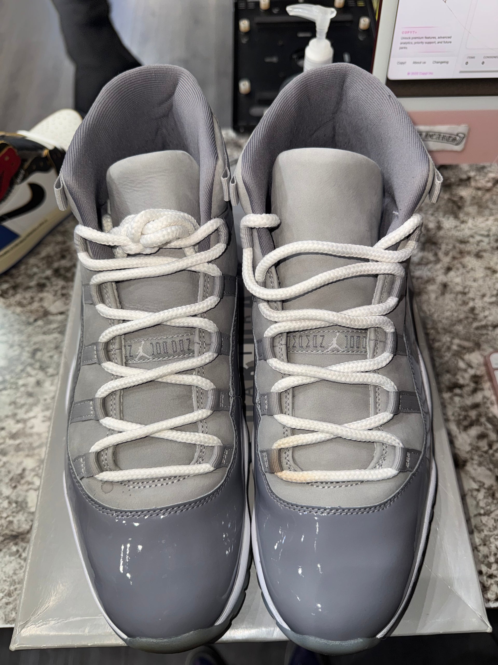 Jordan 11 Retro Cool Grey (2021)