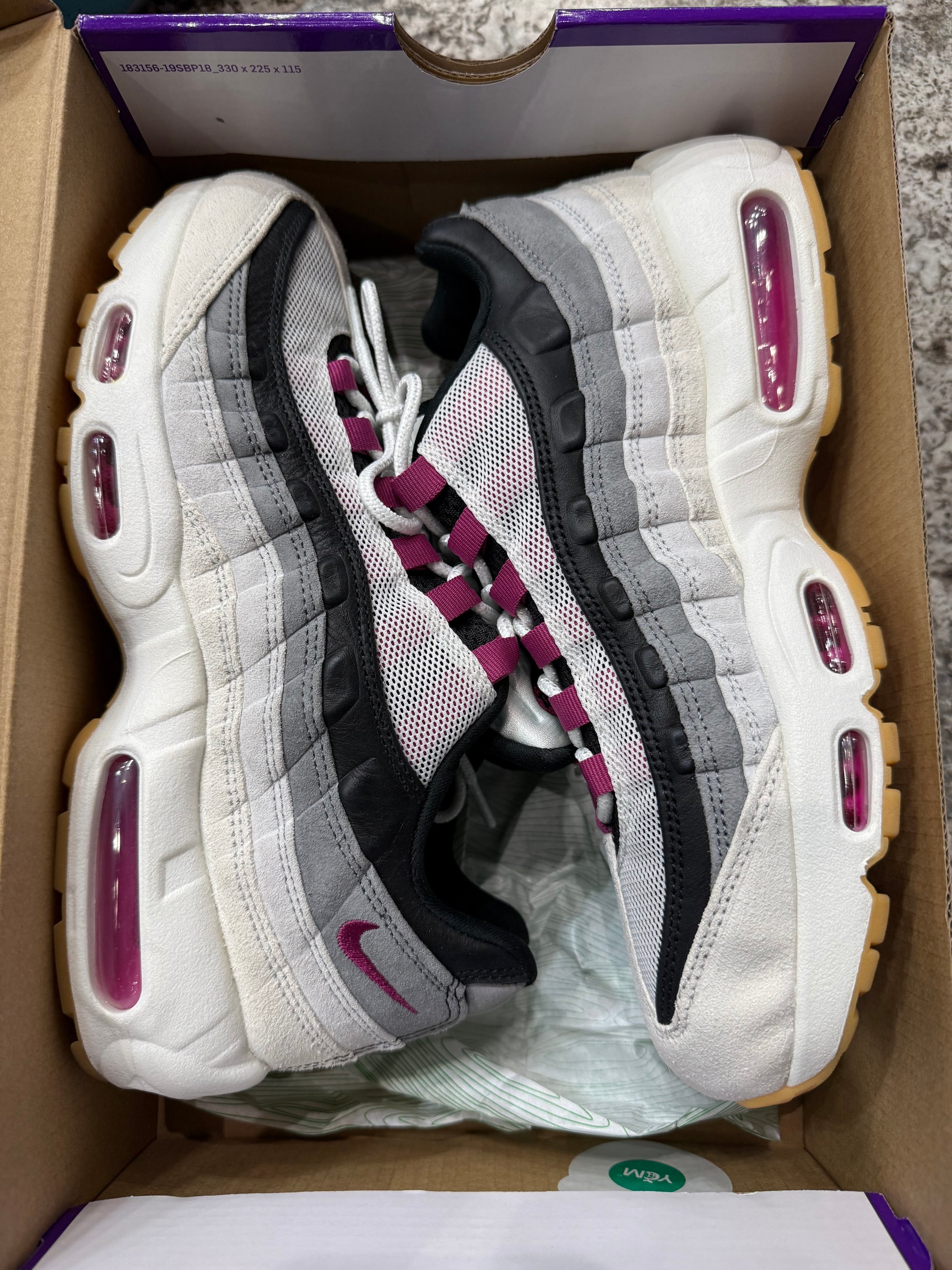Nike Air Max 95 SB Cactus Flower