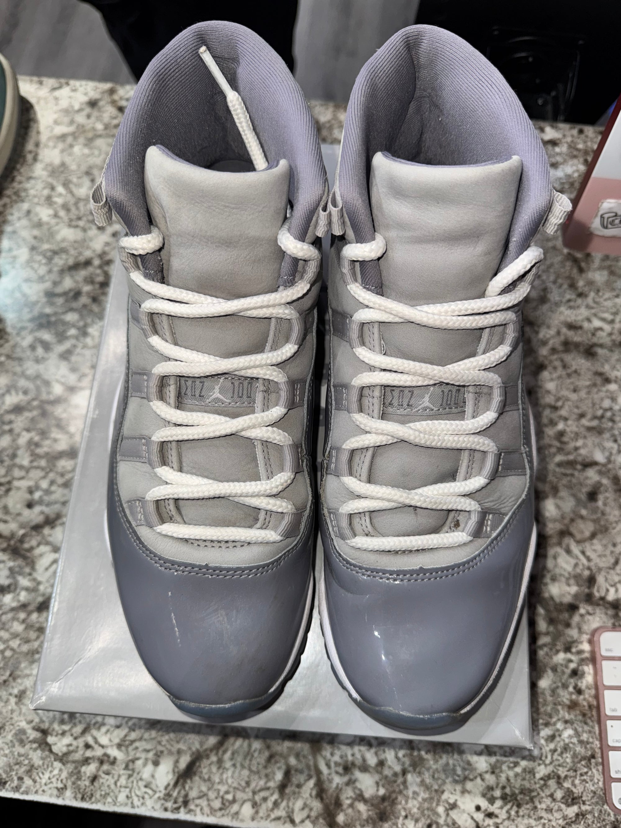 Jordan 11 Retro Cool Grey (2021)