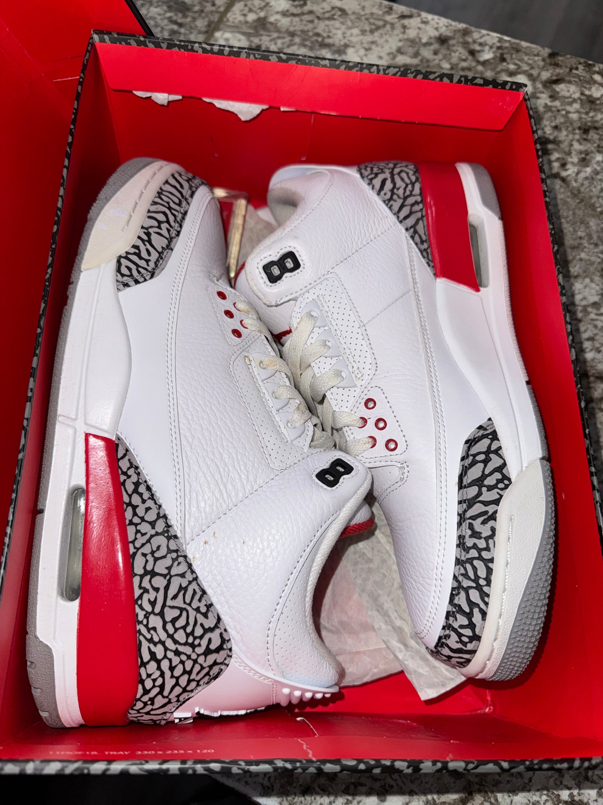 Jordan 3 Retro Hall of Fame