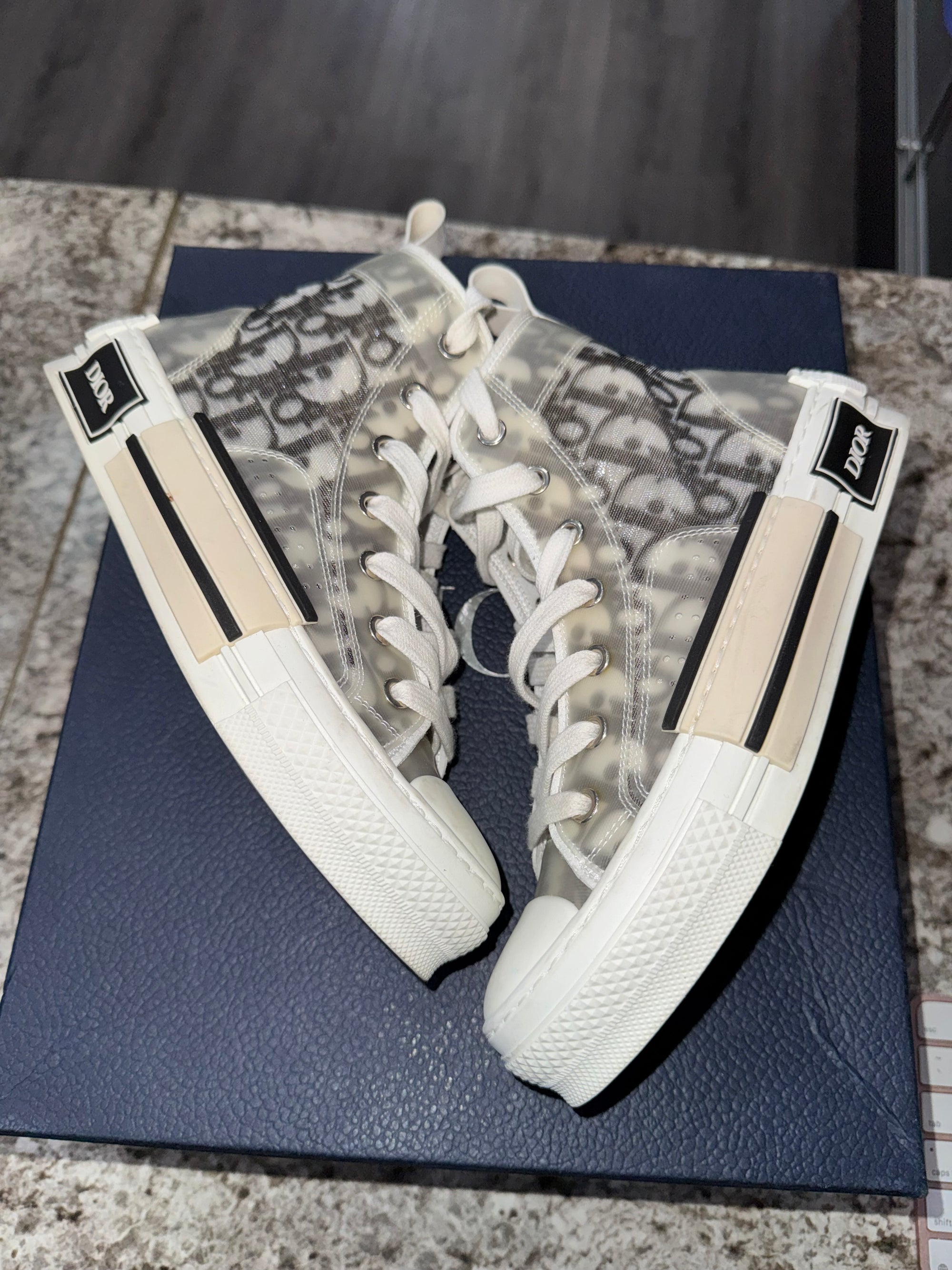 Dior B23 High Top Logo Oblique