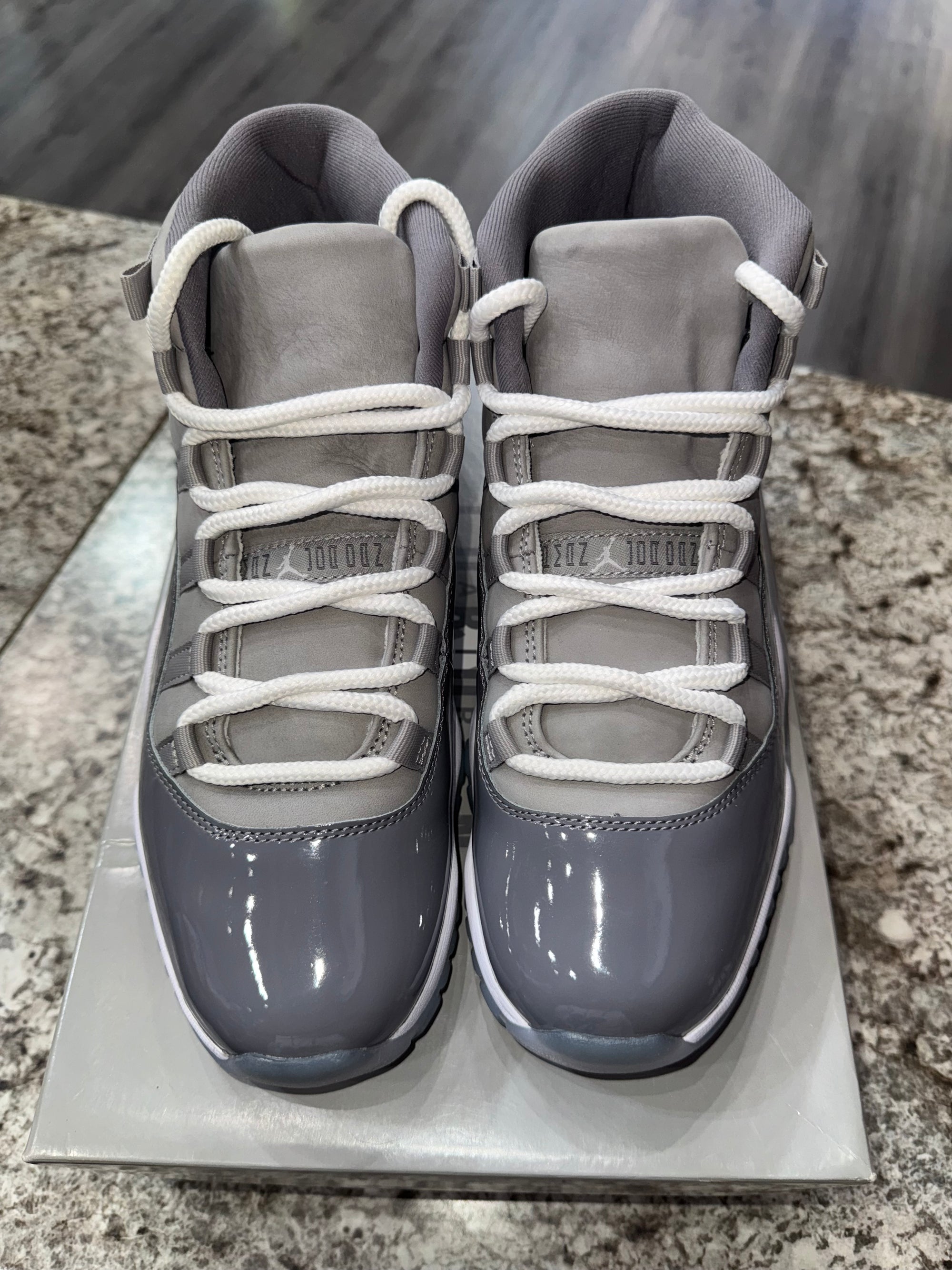 Jordan 11 Retro Cool Grey (2021)