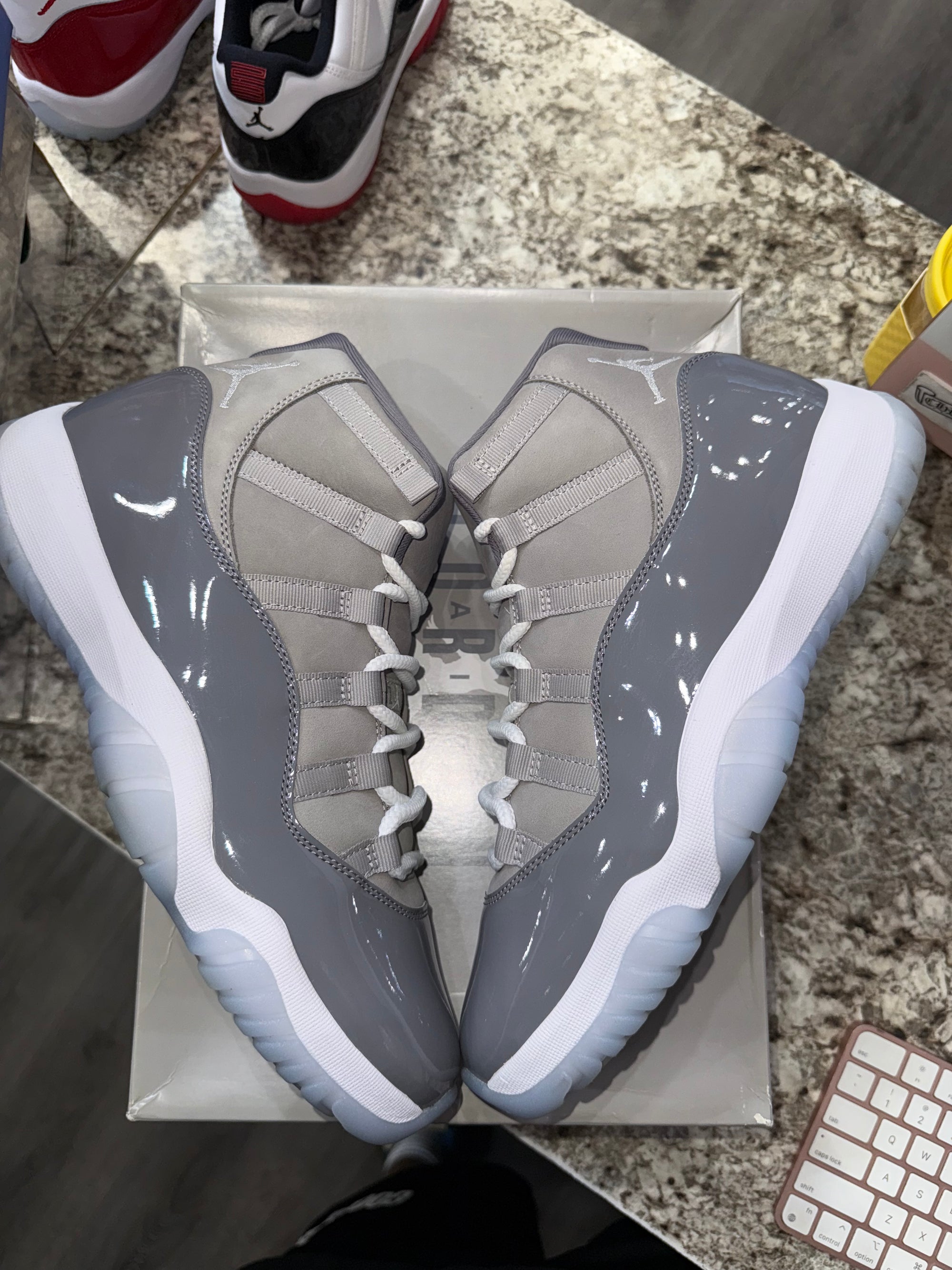 Jordan 11 Retro Cool Grey (2021)