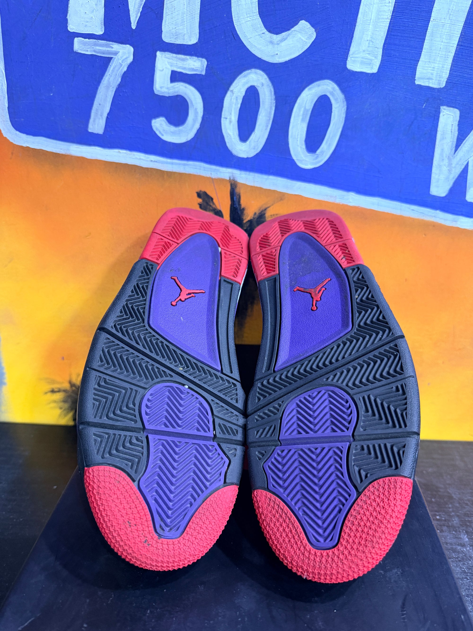 Jordan 4 Retro Raptors (2018)