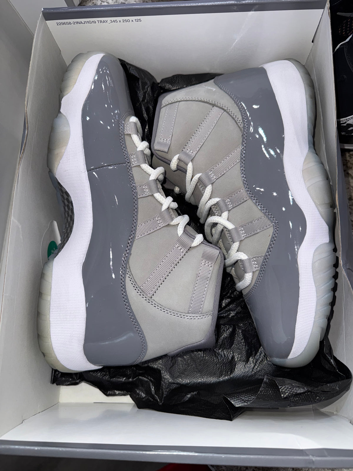 Jordan 11 Retro Cool Grey (2021)