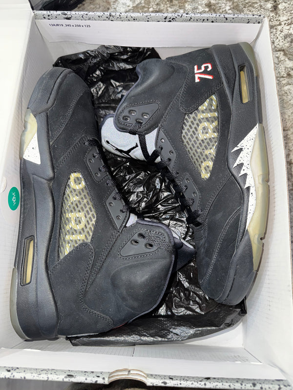 Jordan 5 Retro Paris Saint-Germain