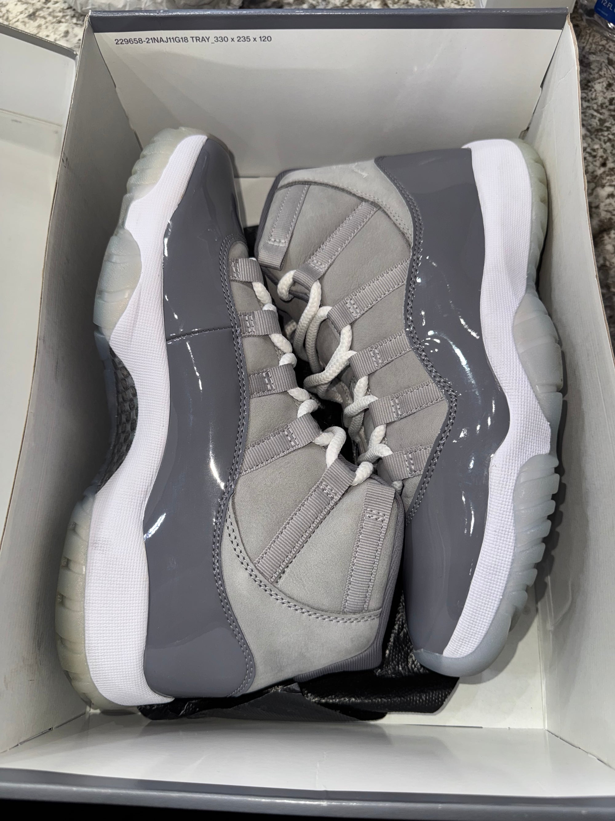 Jordan 11 Retro Cool Grey (2021)