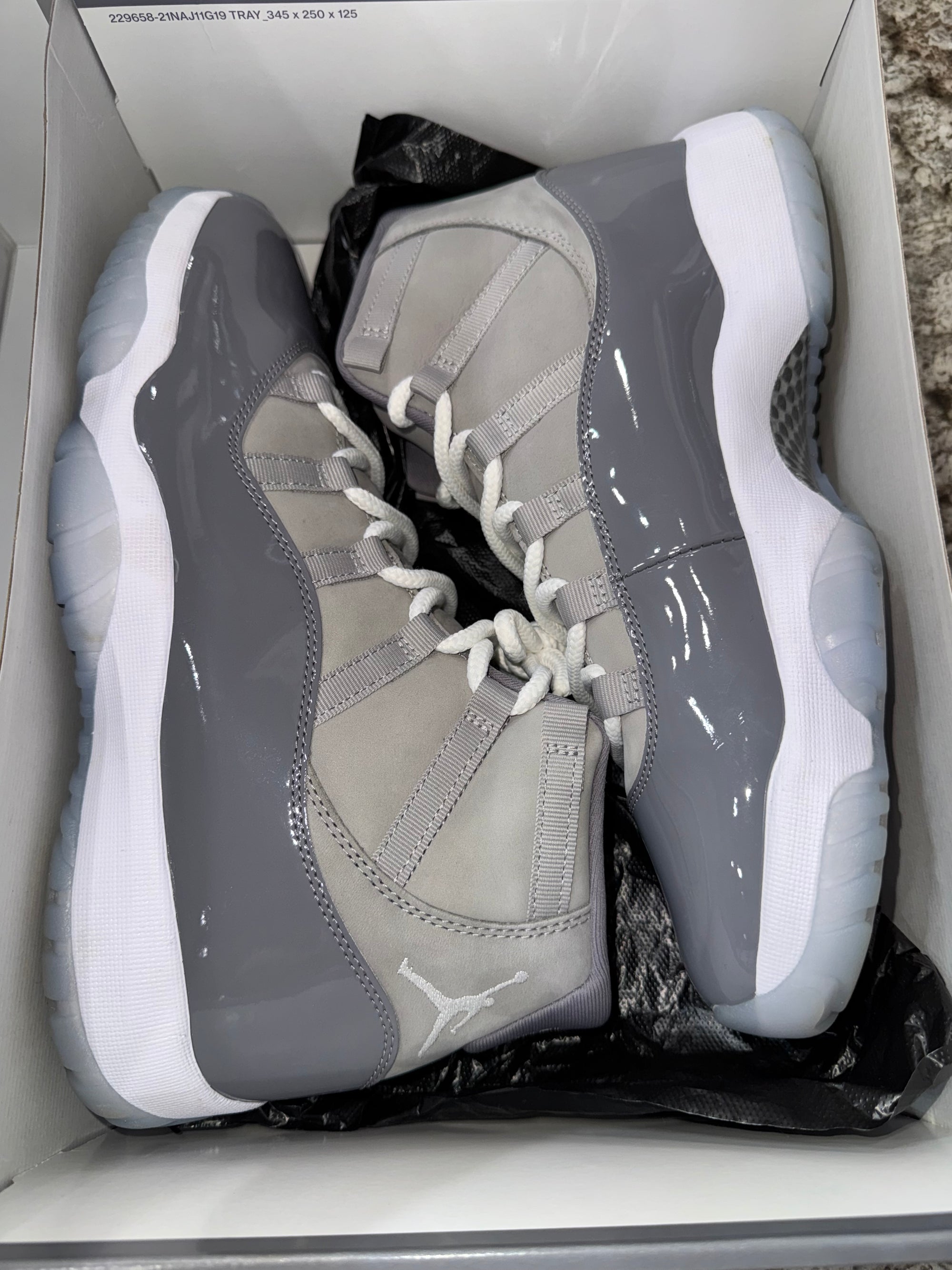 Jordan 11 Retro Cool Grey (2021)
