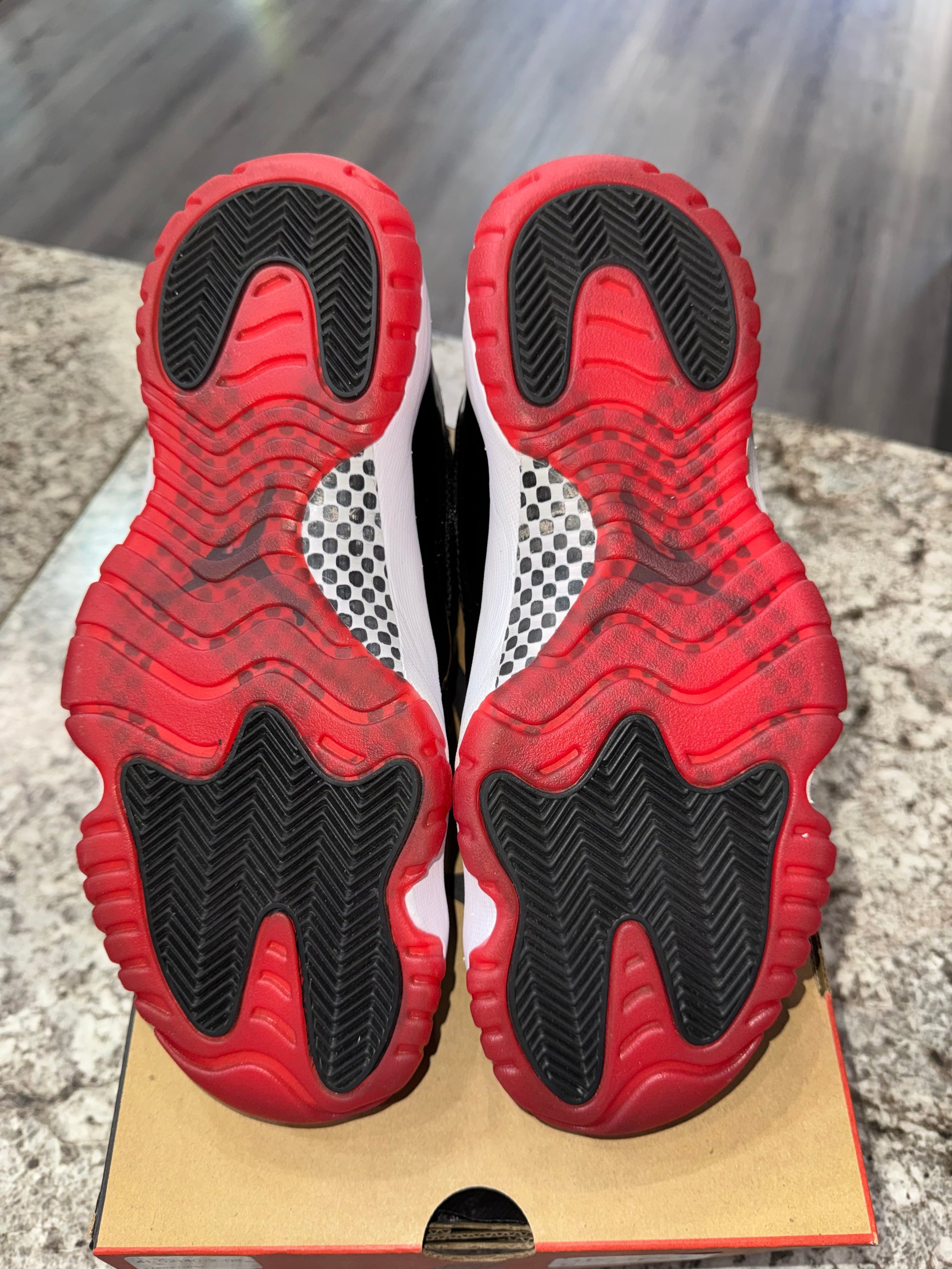 Jordan 11 Retro Playoffs Bred (2019)