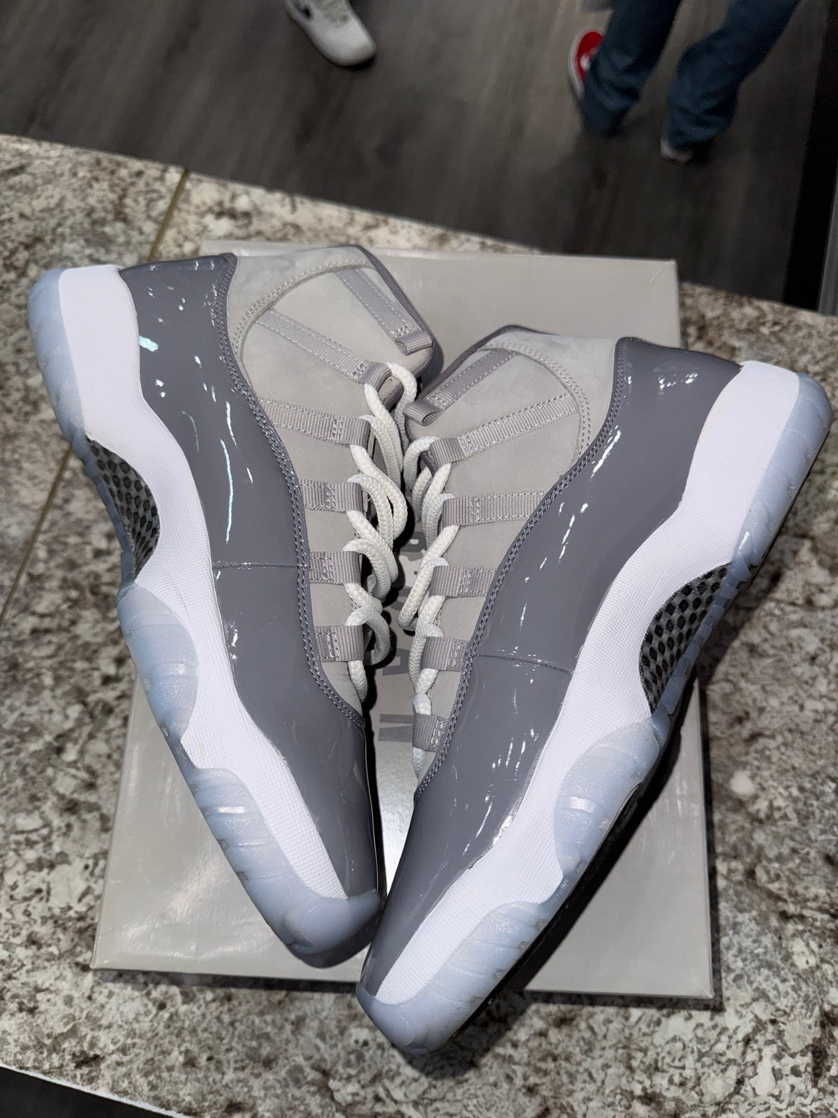Jordan 11 Retro Cool Grey (2021)