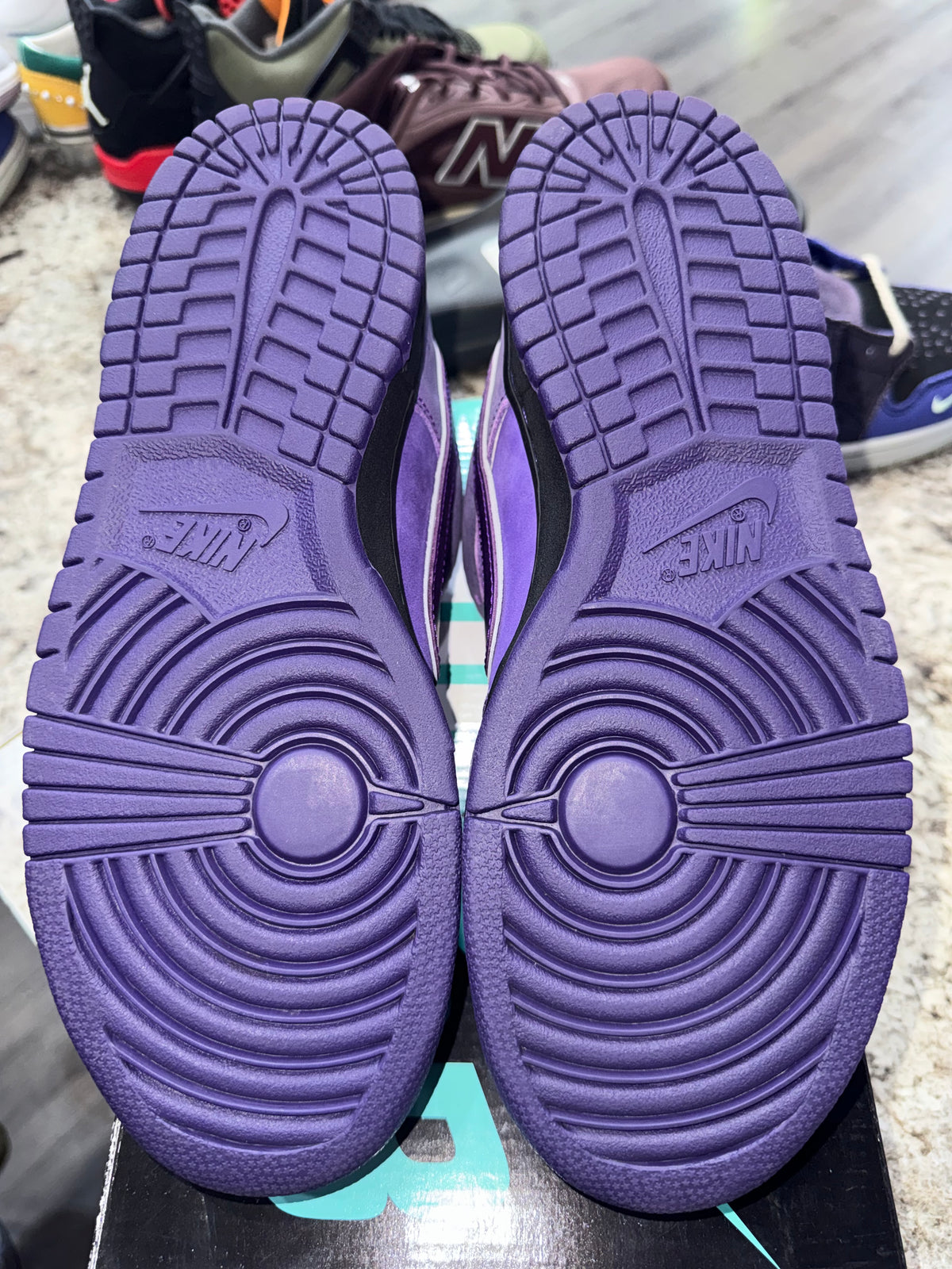 Nike SB Dunk Low Concepts Purple Lobster