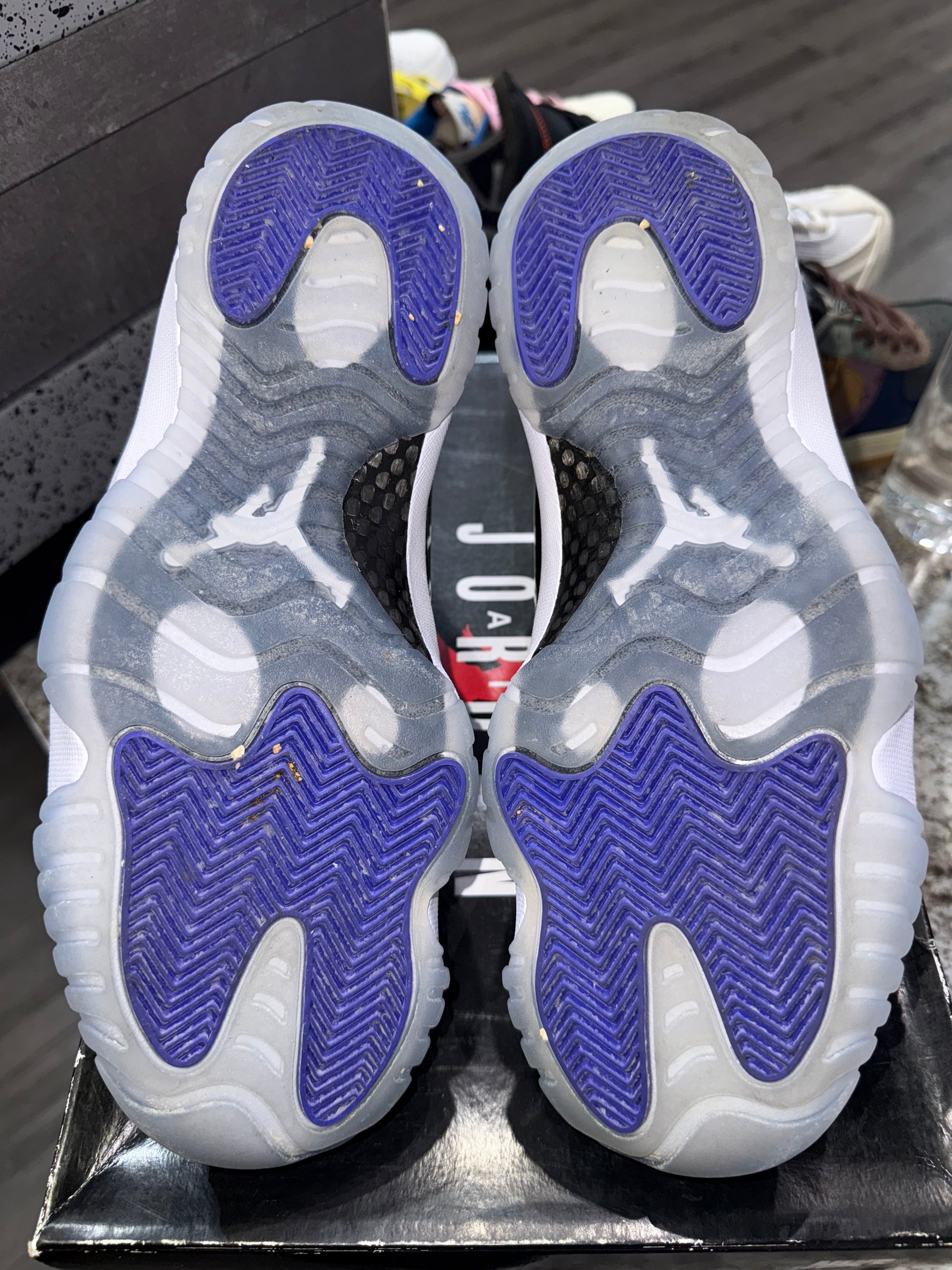 Jordan 11 Retro Concord (2018)
