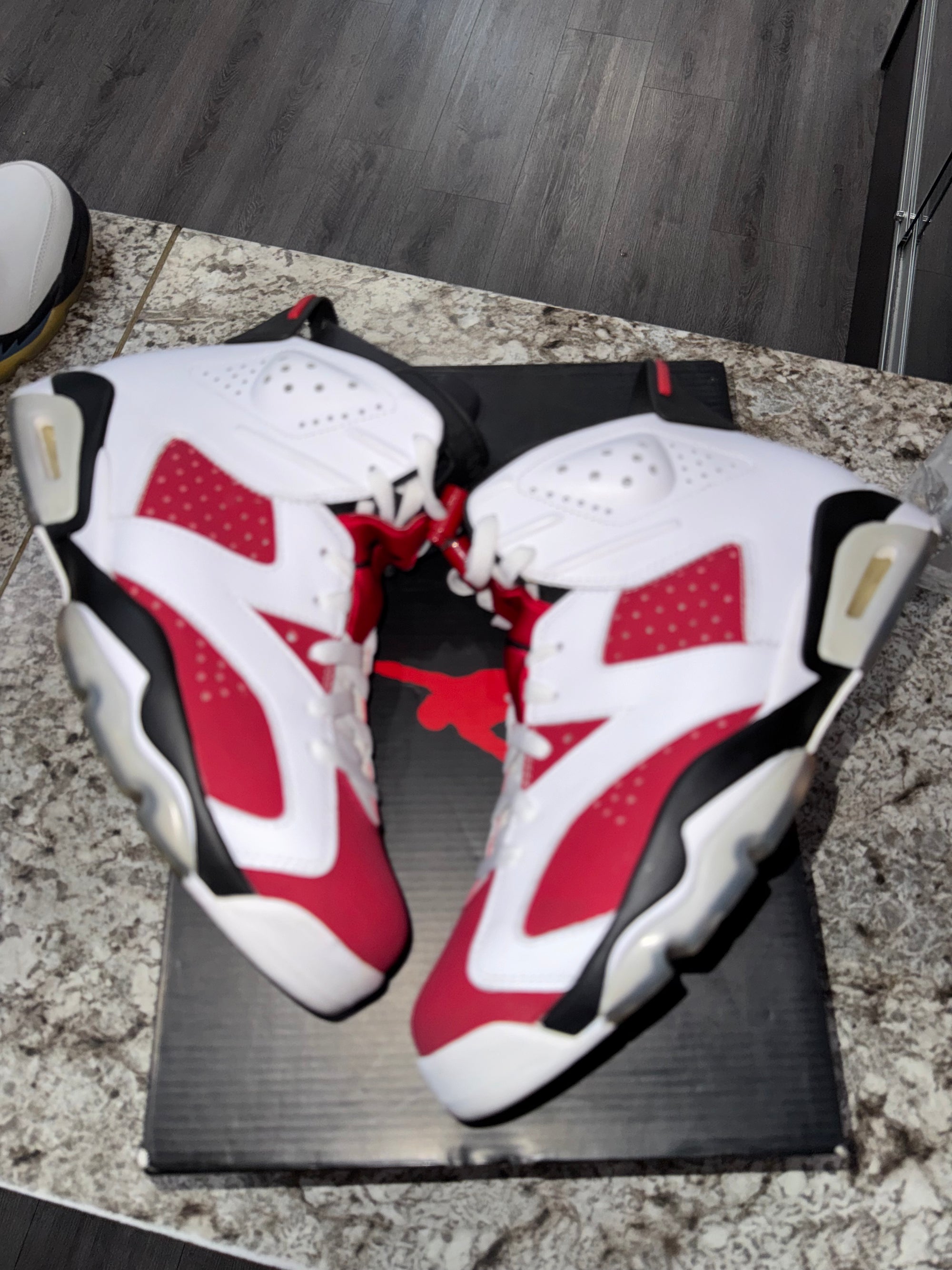 Jordan 6 Retro Carmine (2014)