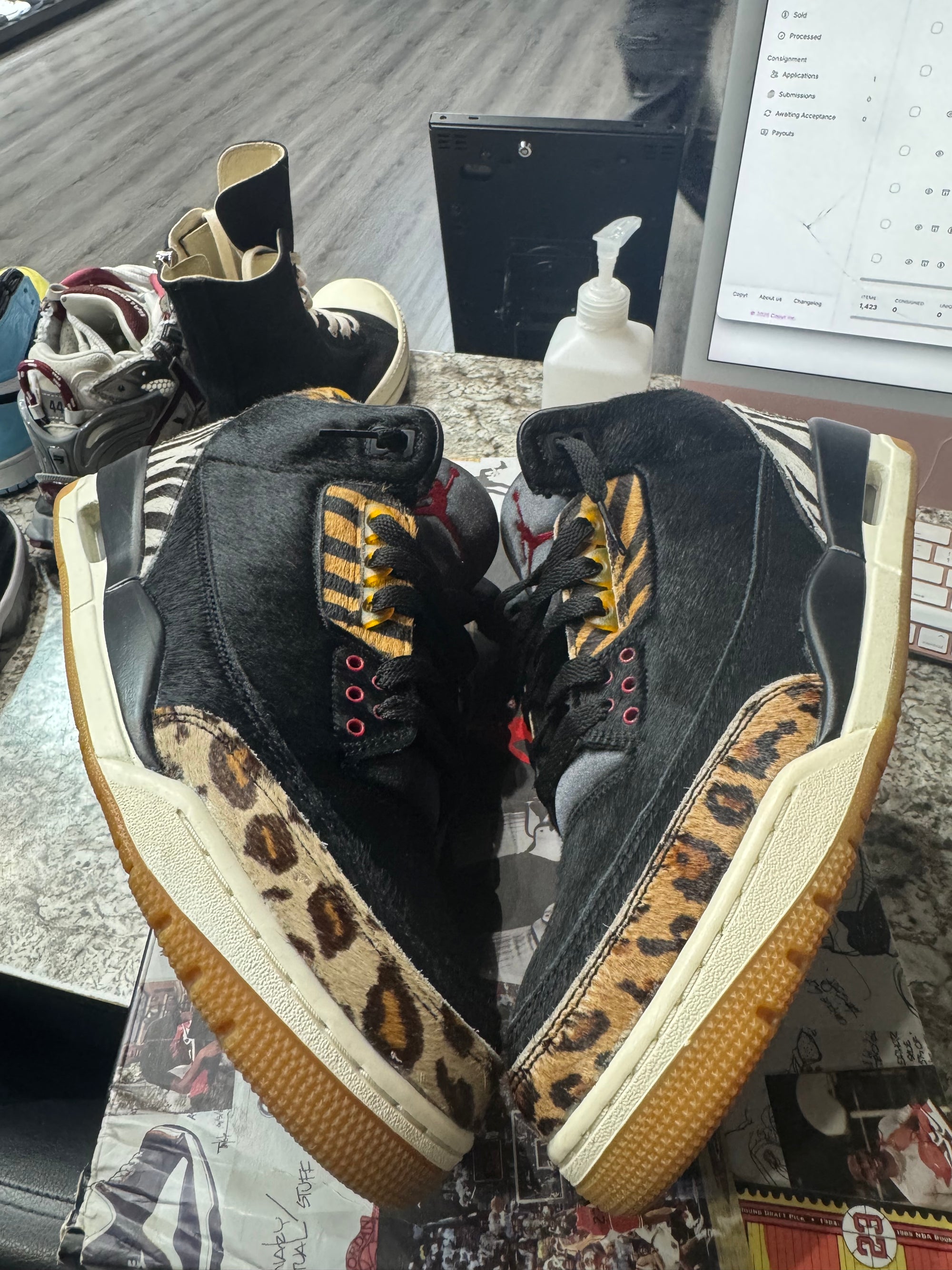 Jordan 3 Retro SE Animal Instinct