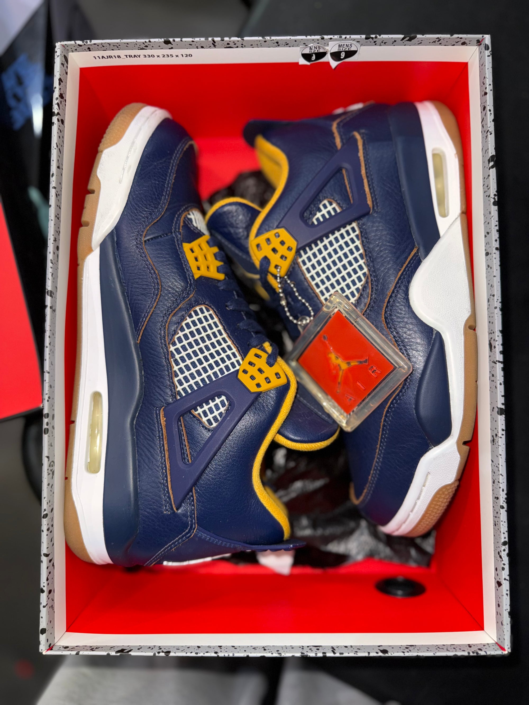 Jordan 4 Retro Dunk From Above